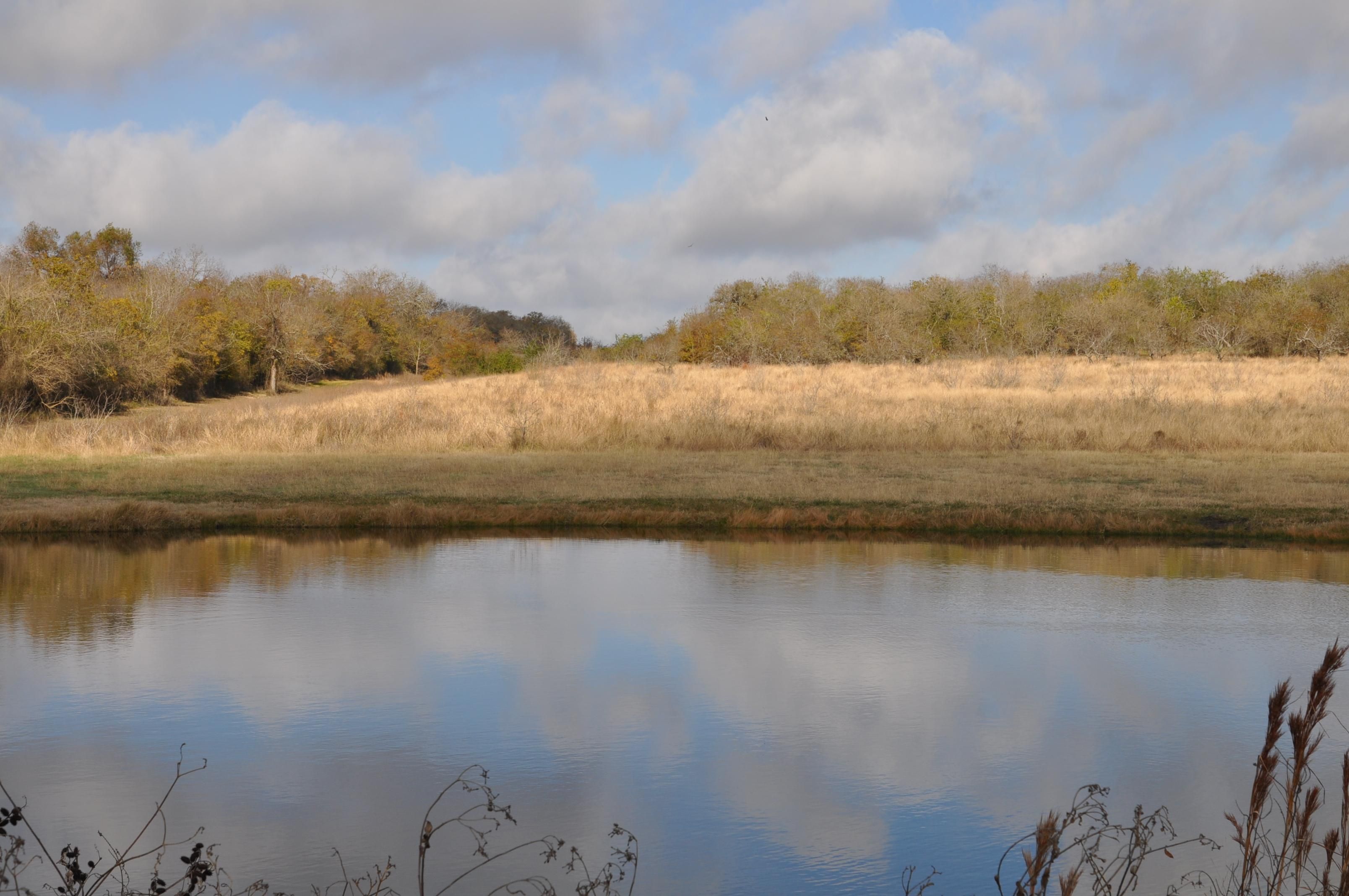 26 acres in Milam County, Texas