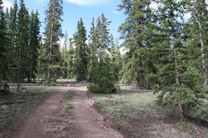 9 acres in Mineral County, Colorado