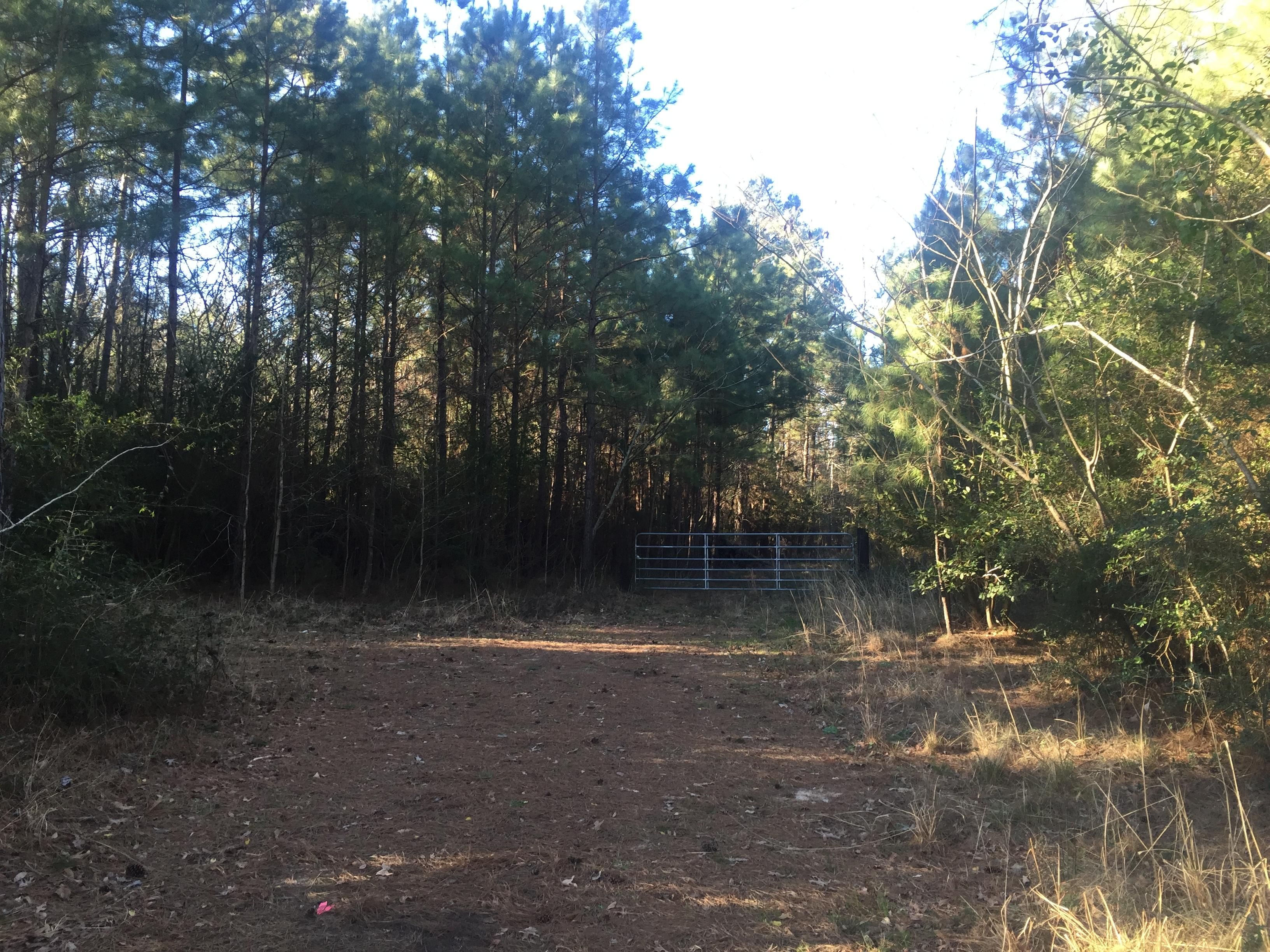 5 acres in Nacogdoches County, Texas