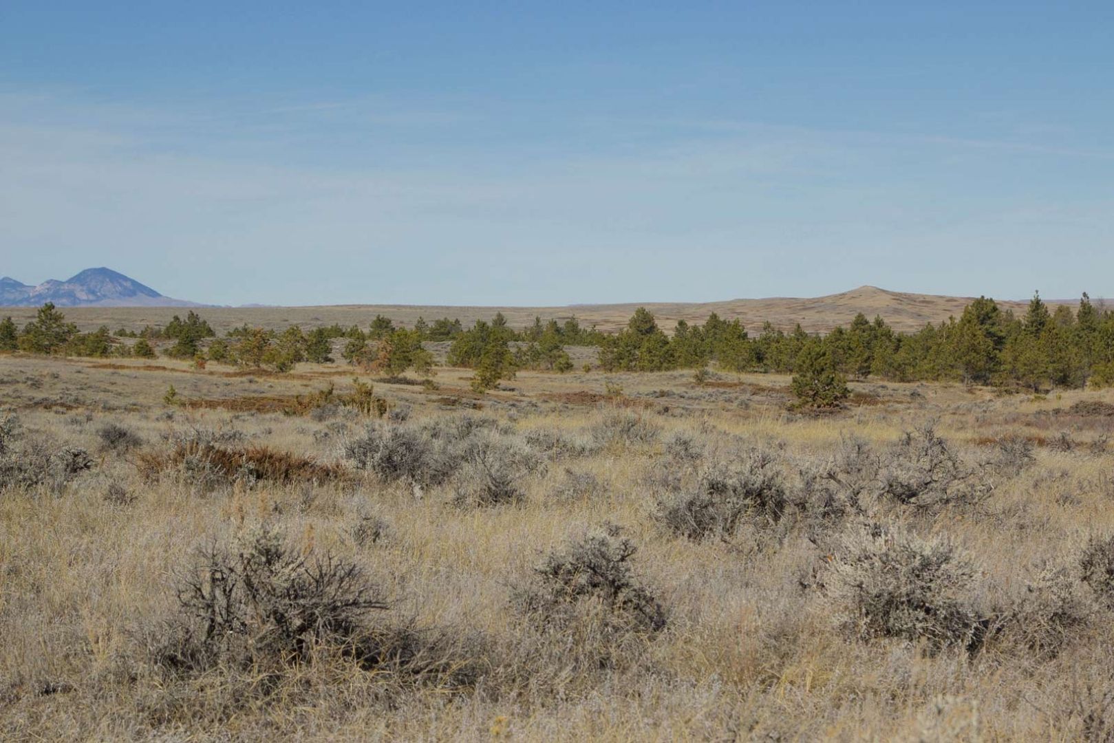 4,100 acres in Petroleum County, Montana