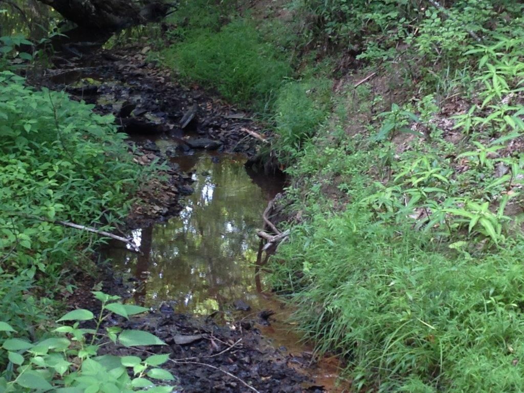 228 acres in Warren County,