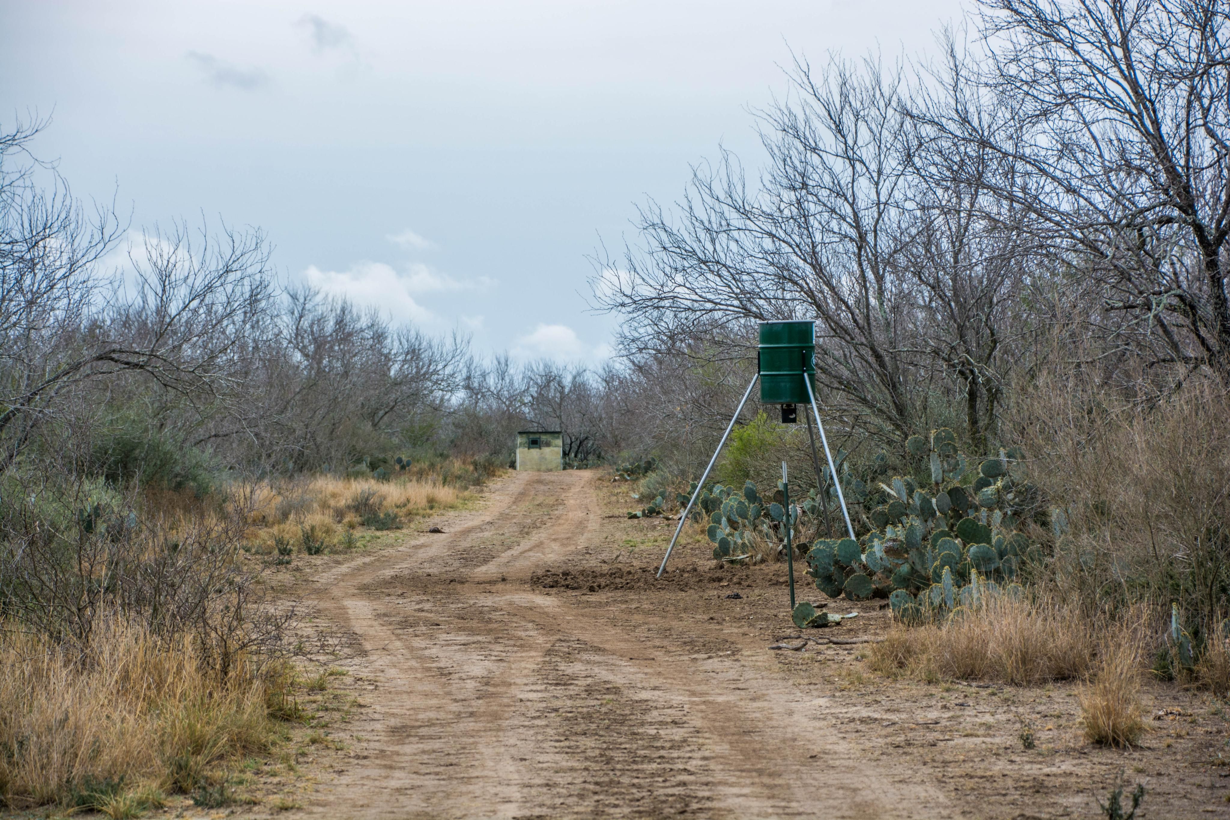 329 acres in La Salle County, Texas