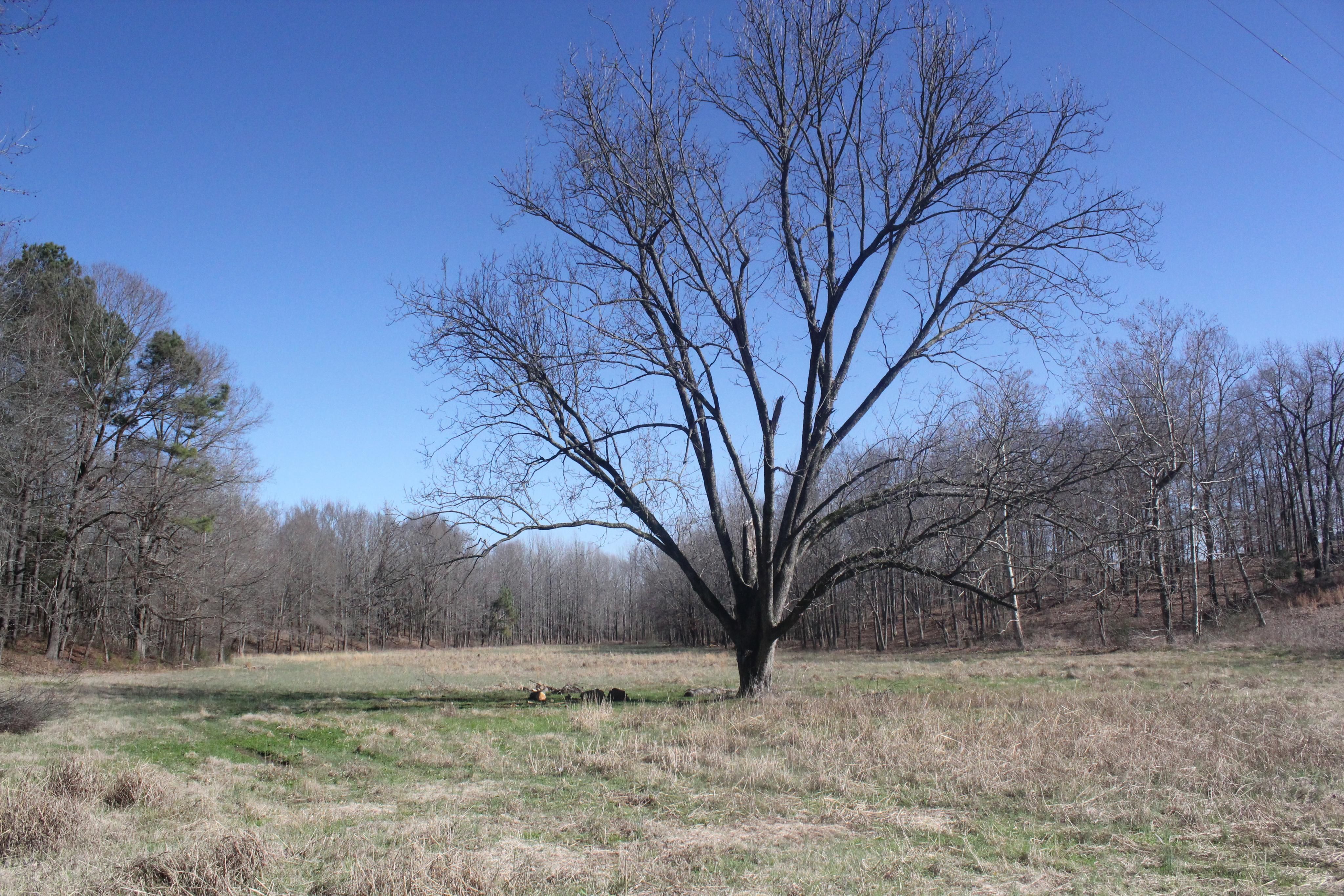 39 acres in Tate County, Mississippi