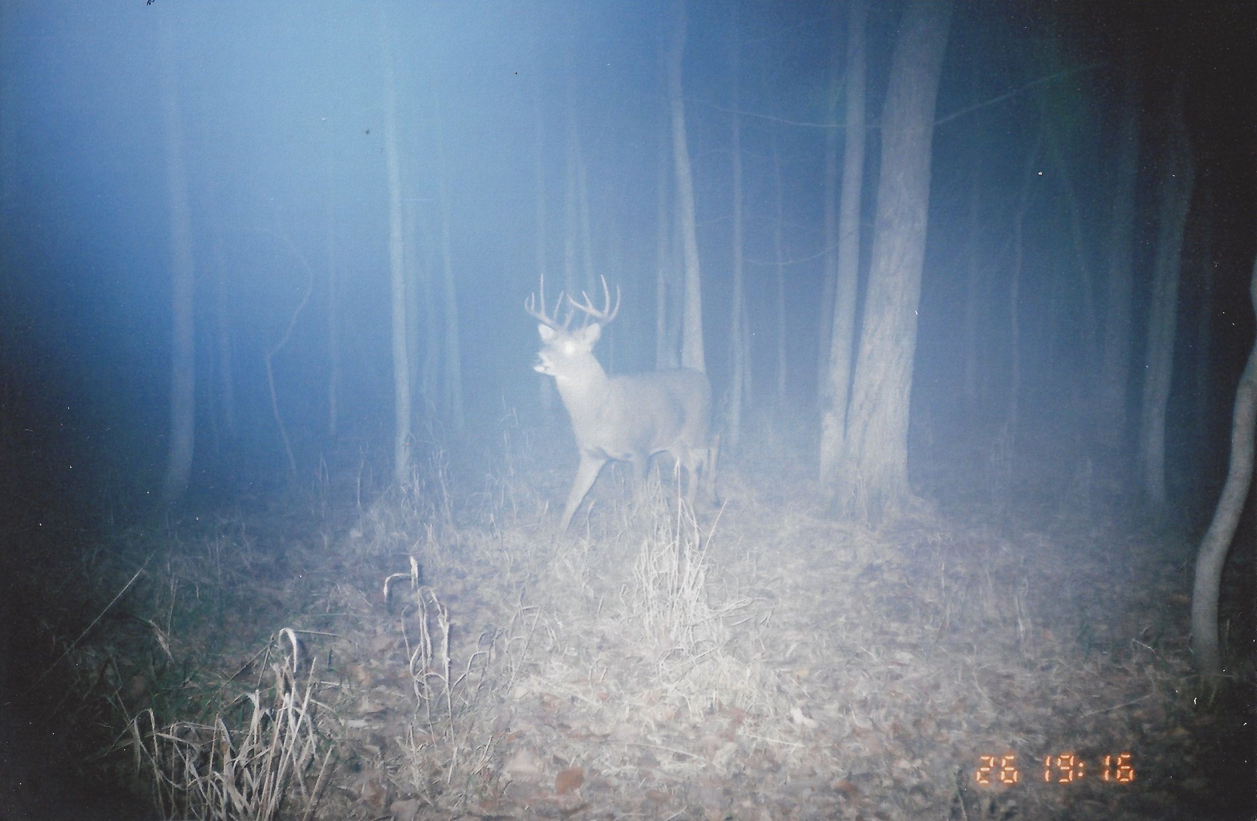 40 acres in Winnebago County, Wisconsin