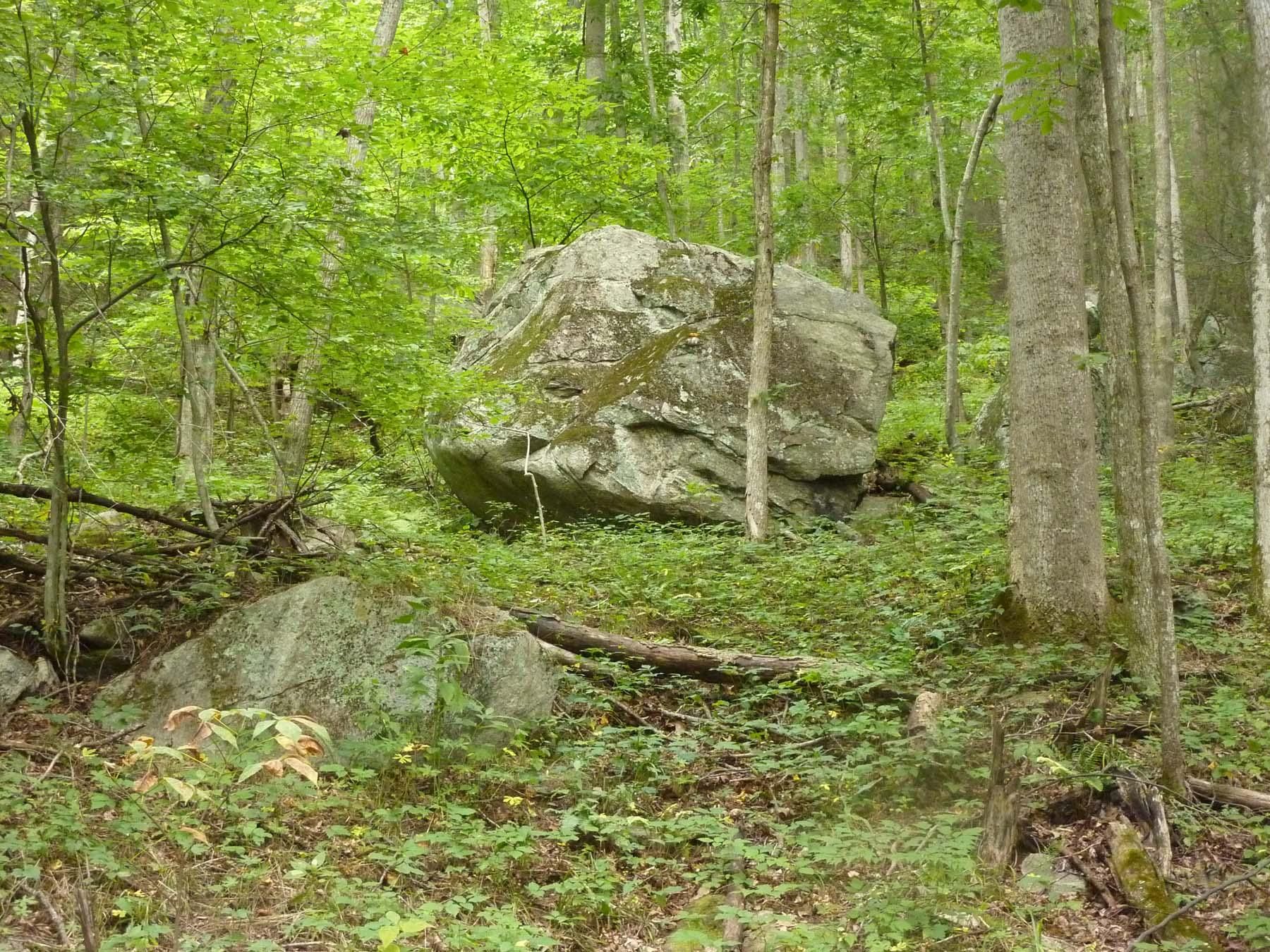 5 acres in Madison County, North Carolina