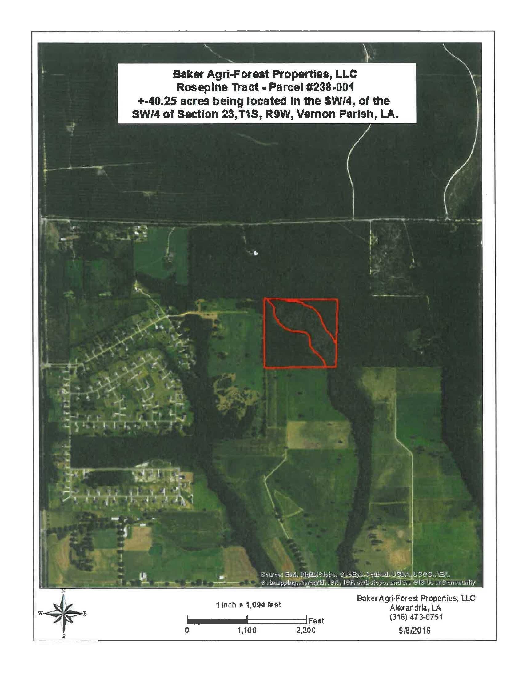 40 acres in Vernon Parish, Louisiana