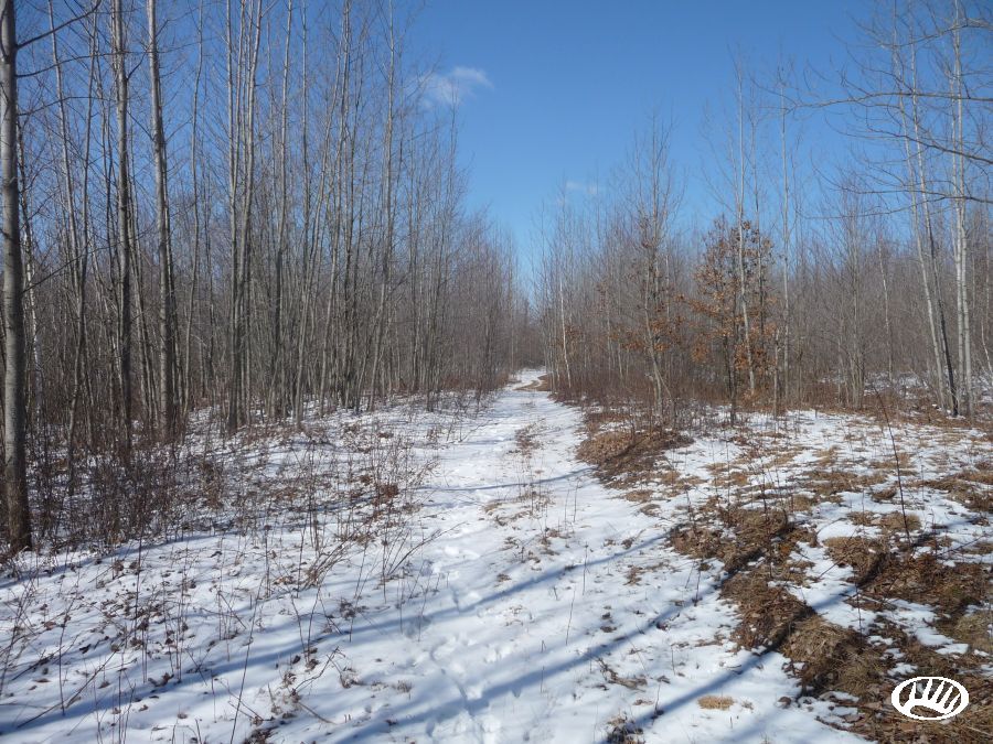 Kent Road, Midland, MI 48640