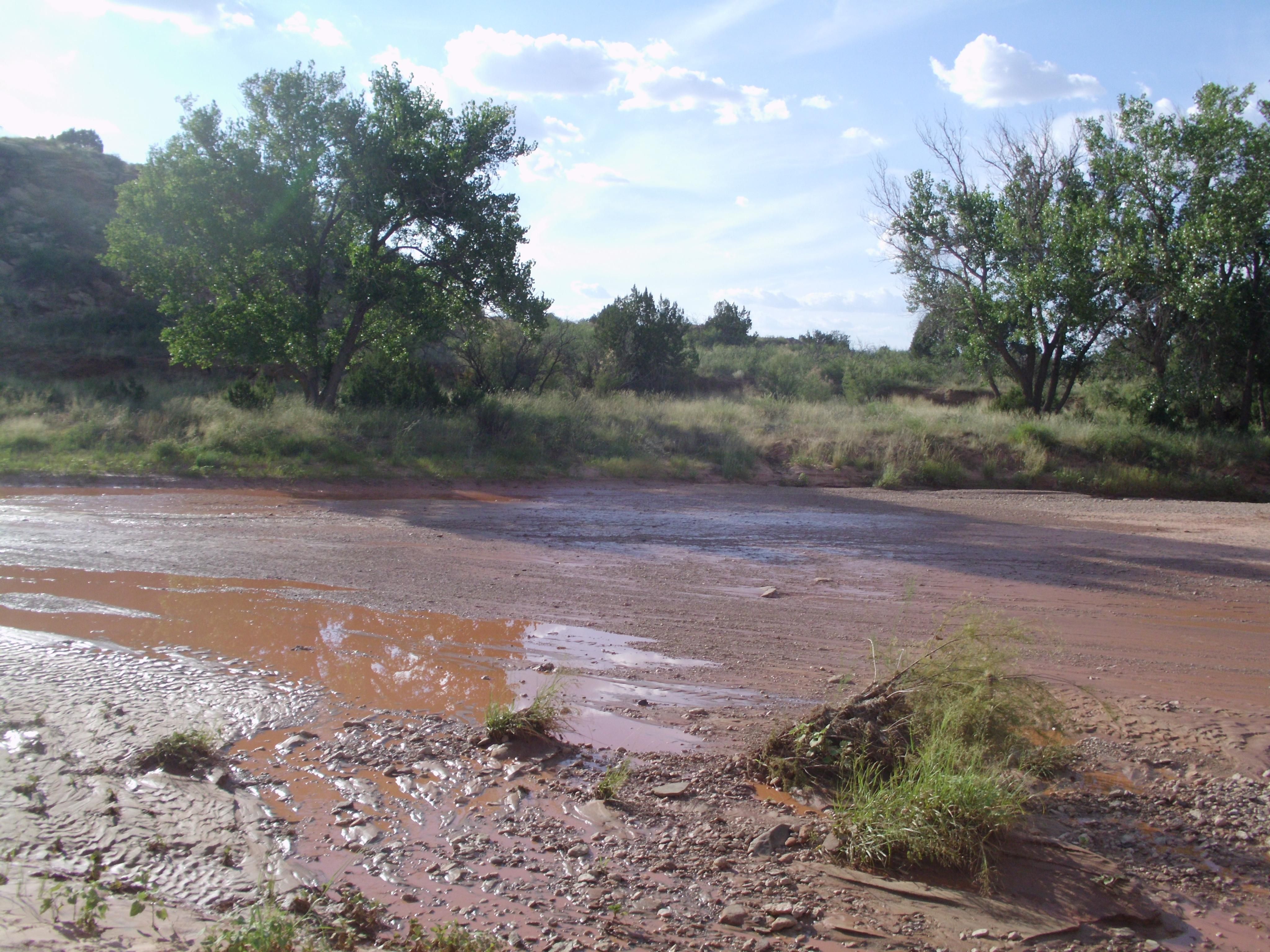 2,480 acres in San Jon, NM, 88434