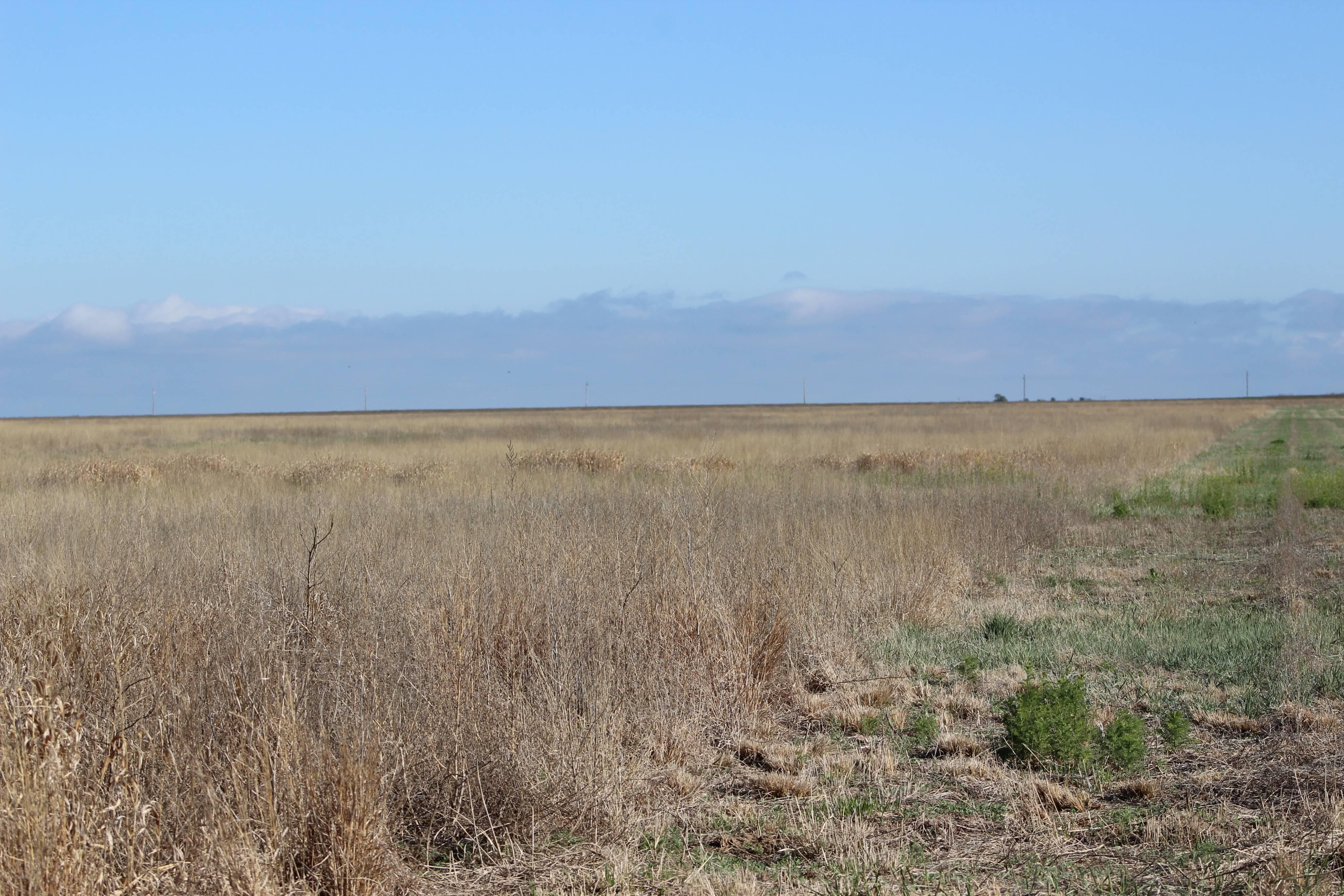 80 acres in Haskell County, Kansas