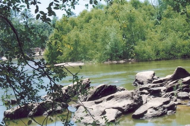 2,793 acres in Jeff Davis County, Georgia