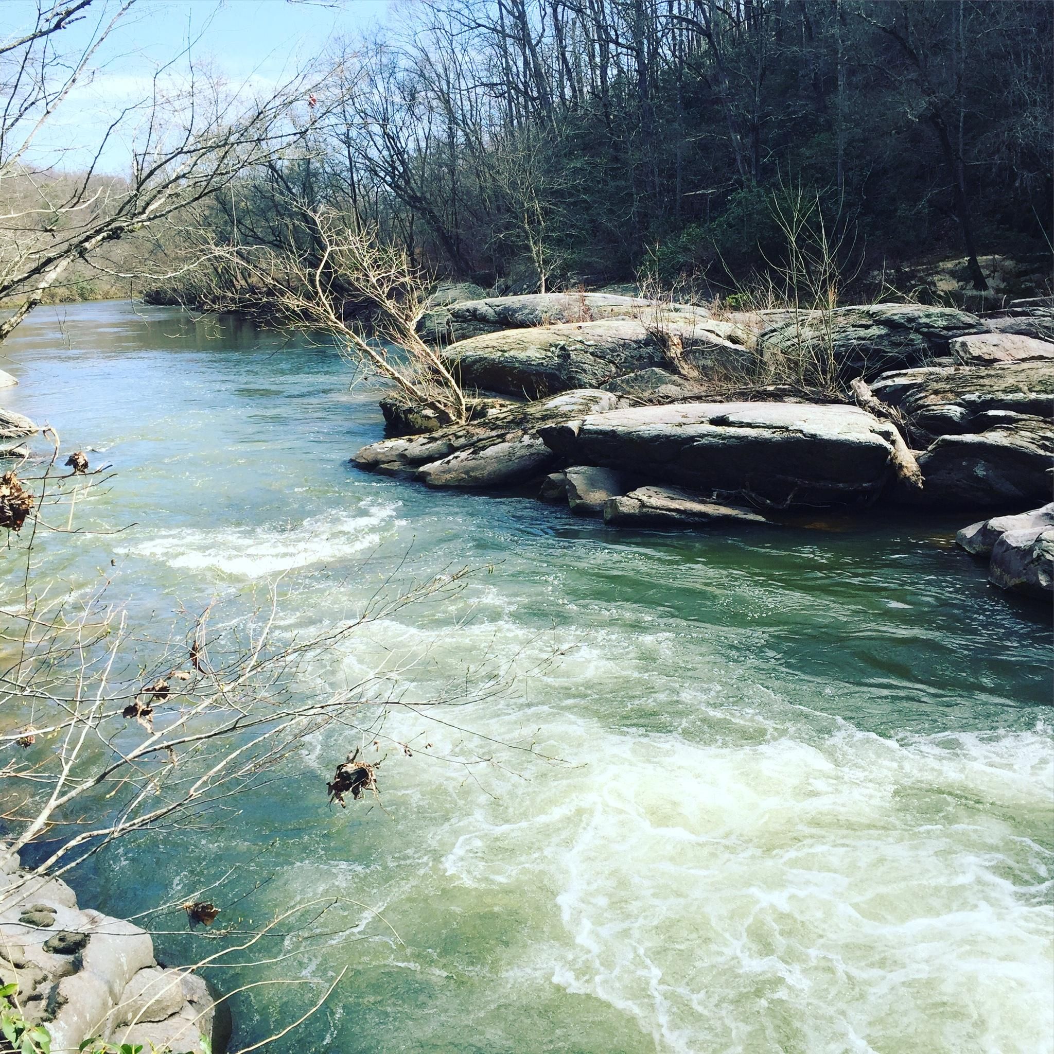 126 acres in Surry County, North Carolina