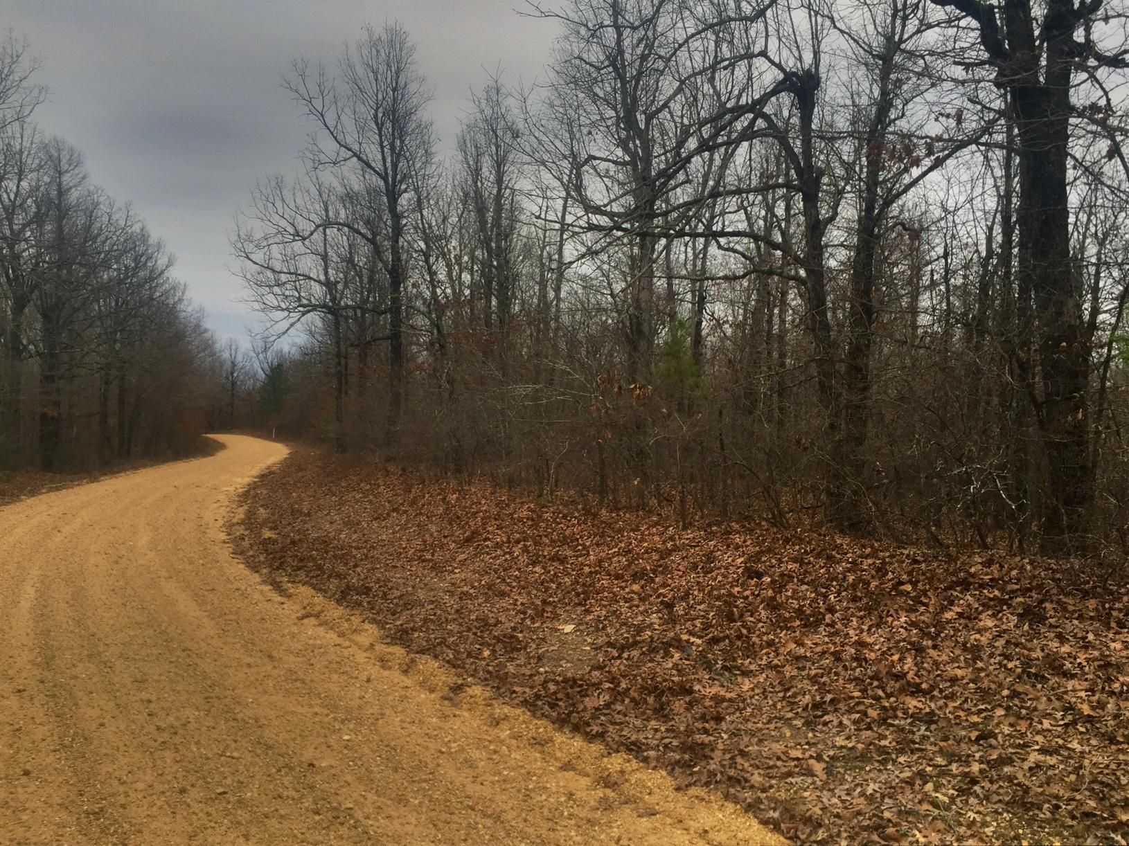 19 acres in Greene County, Arkansas