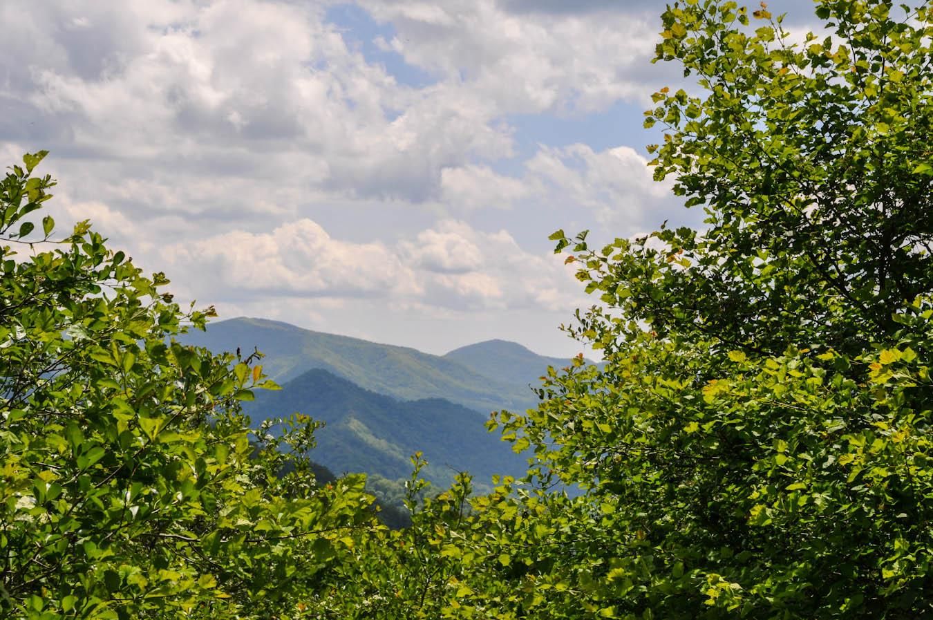 50 acres in Madison County, North Carolina