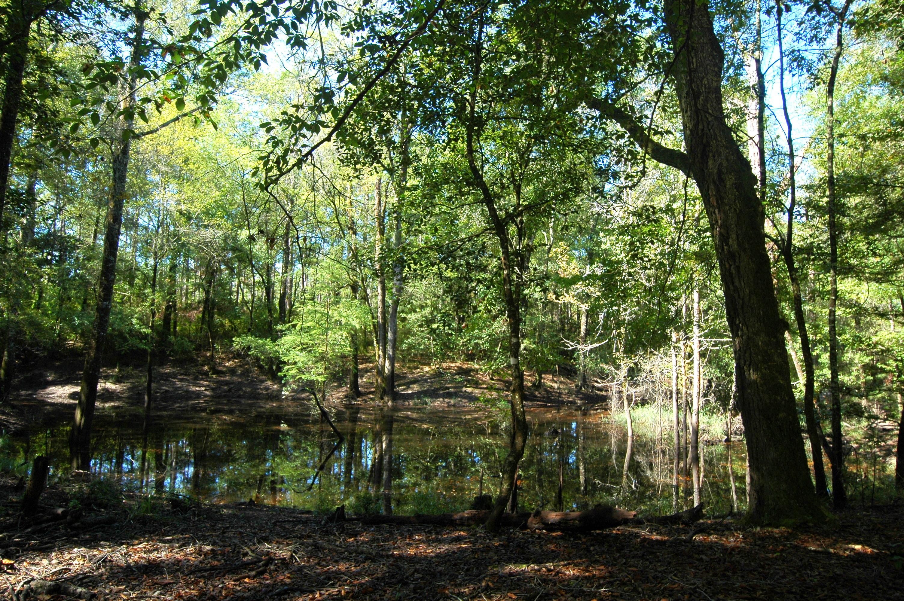 1,387 acres in Walton County, Florida