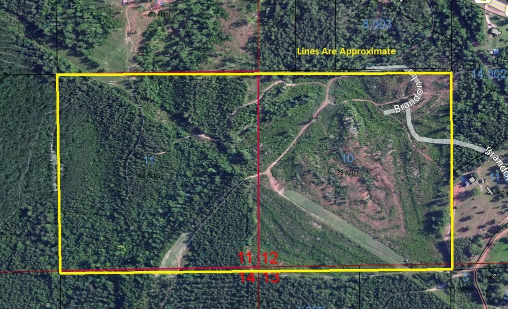 79 acres in Monroe County, Alabama