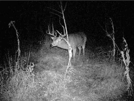 100 acres in Butler County, Kentucky