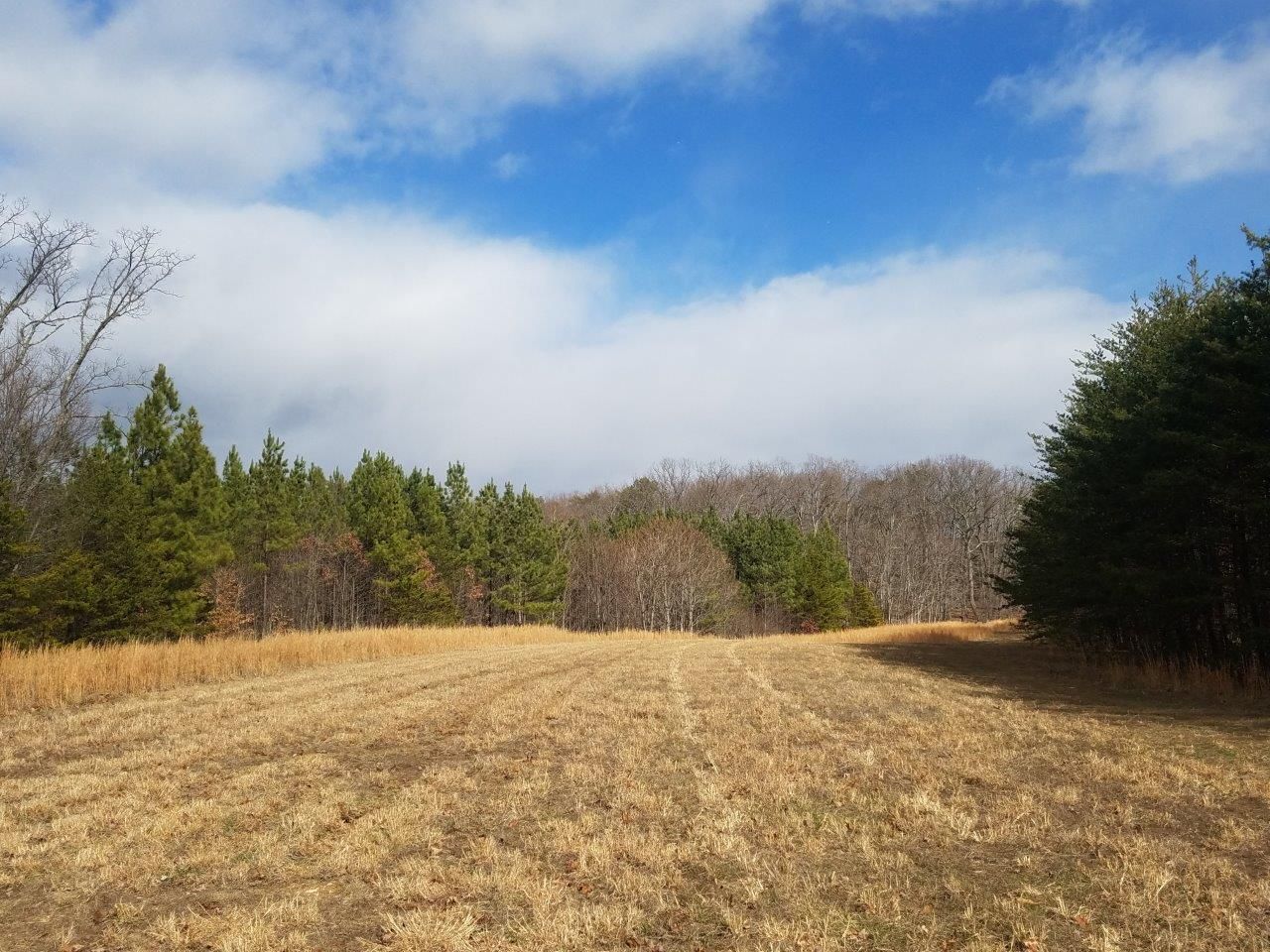 61 acres in Bedford County, Virginia