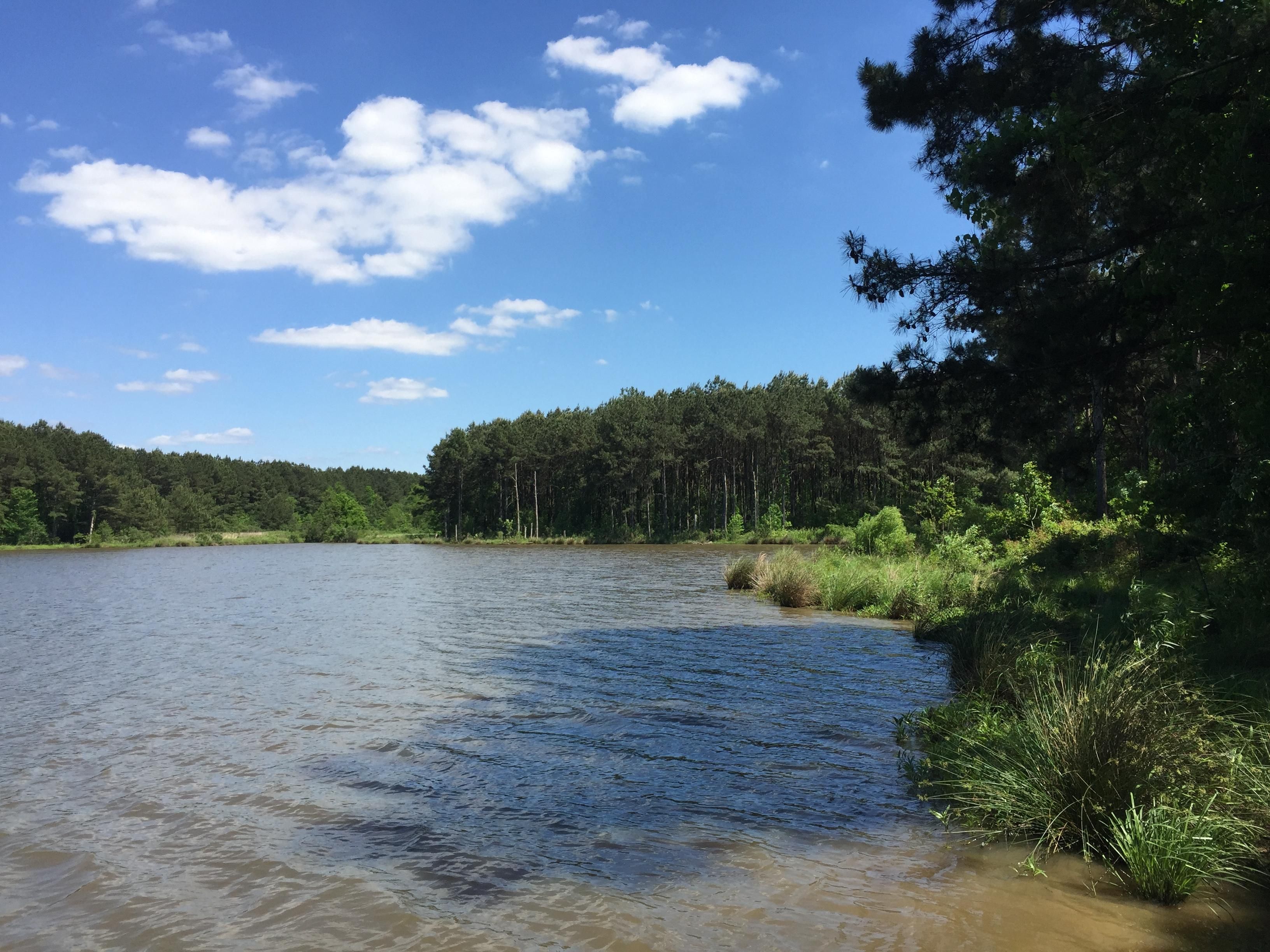 41 acres in Madison County, Mississippi