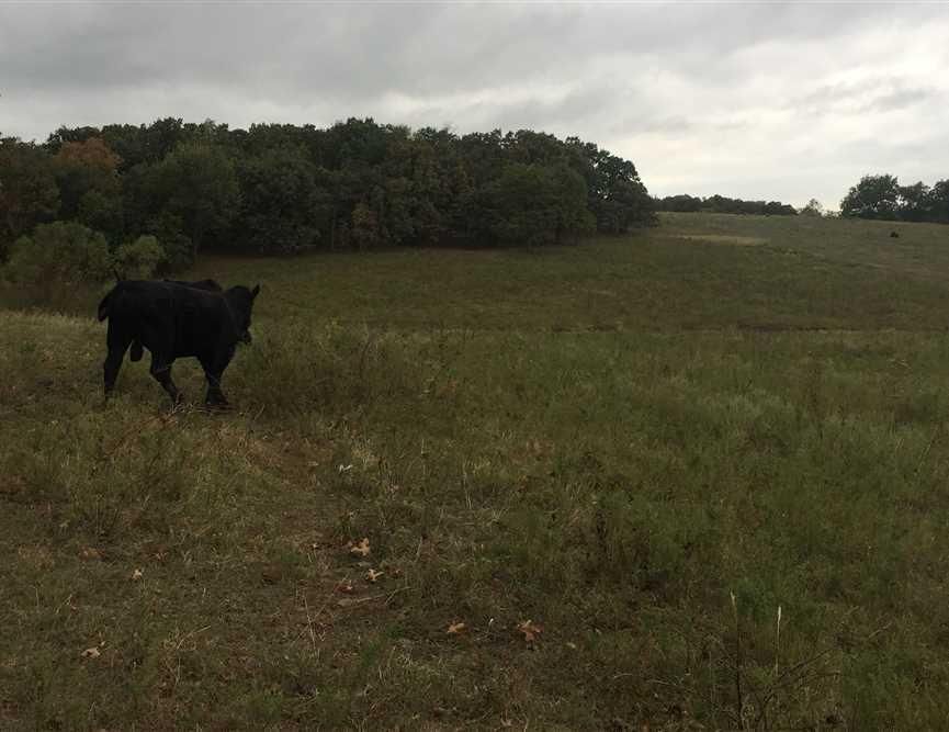 90 acres in Nowata County, Oklahoma