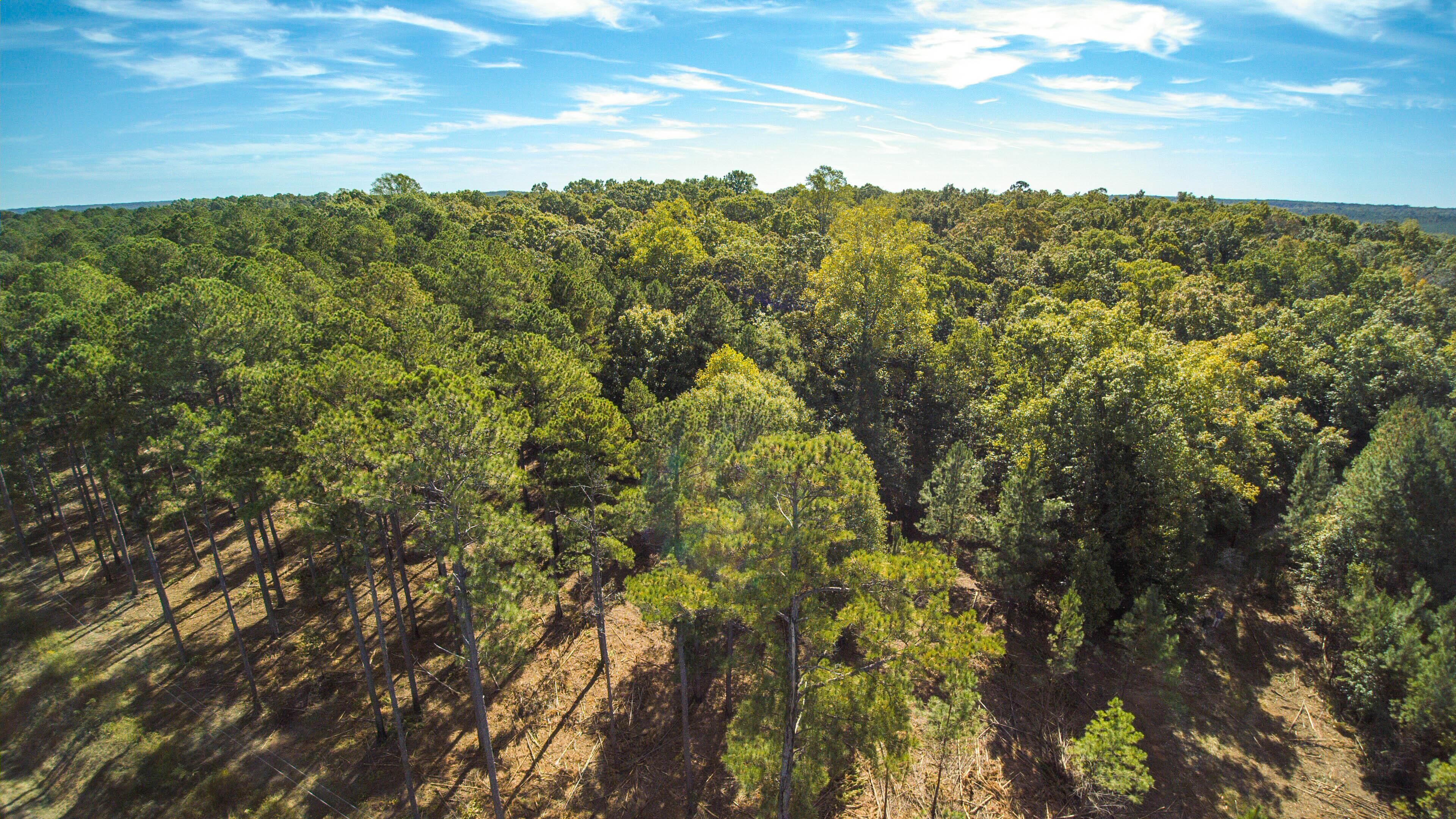 442 acres in Chambers County, Alabama