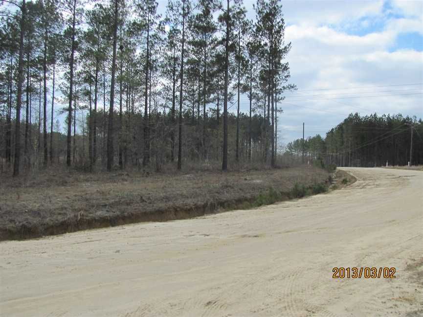 38 acres in Toombs County,