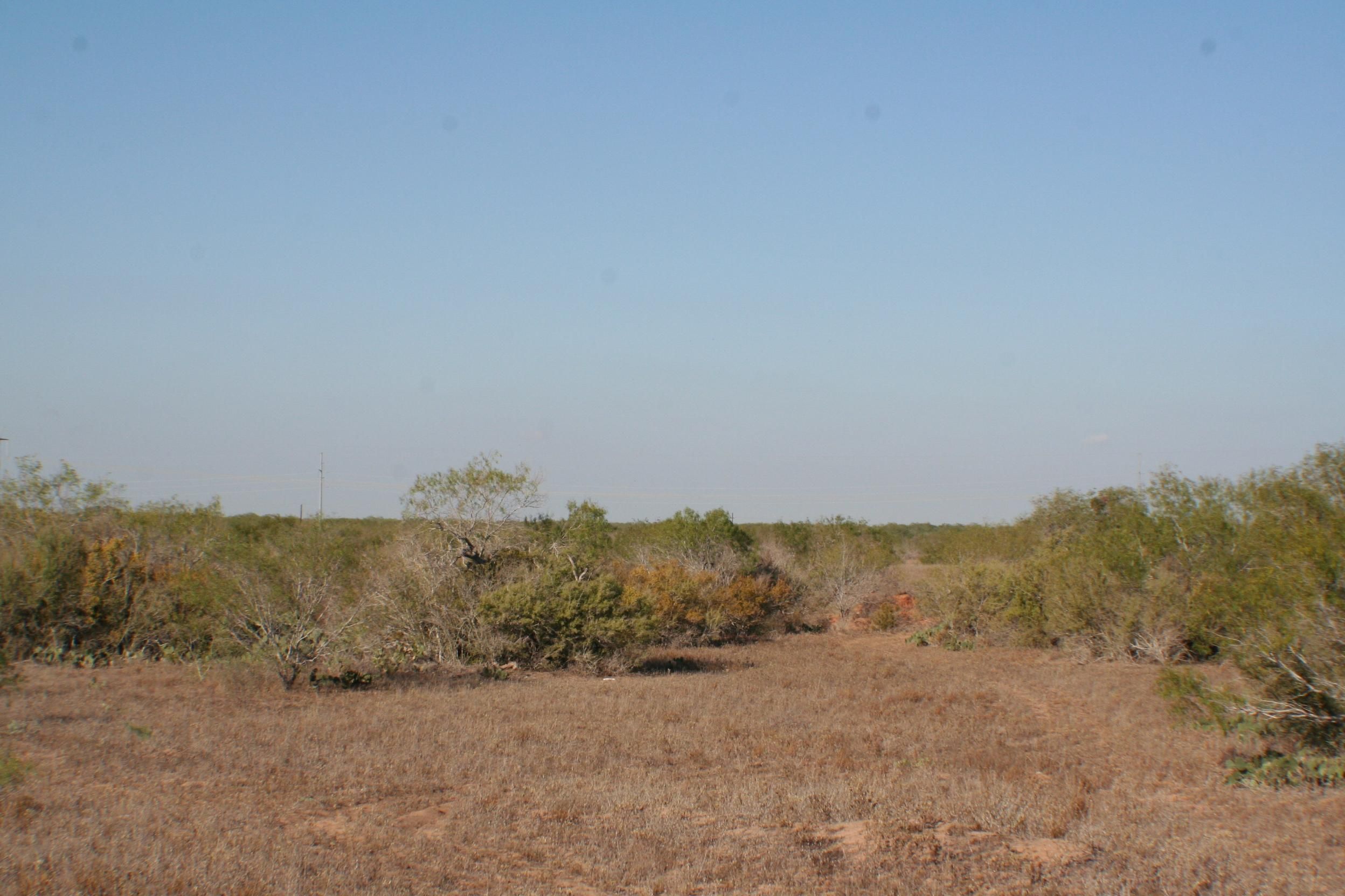 40 acres in Hidalgo County, Texas