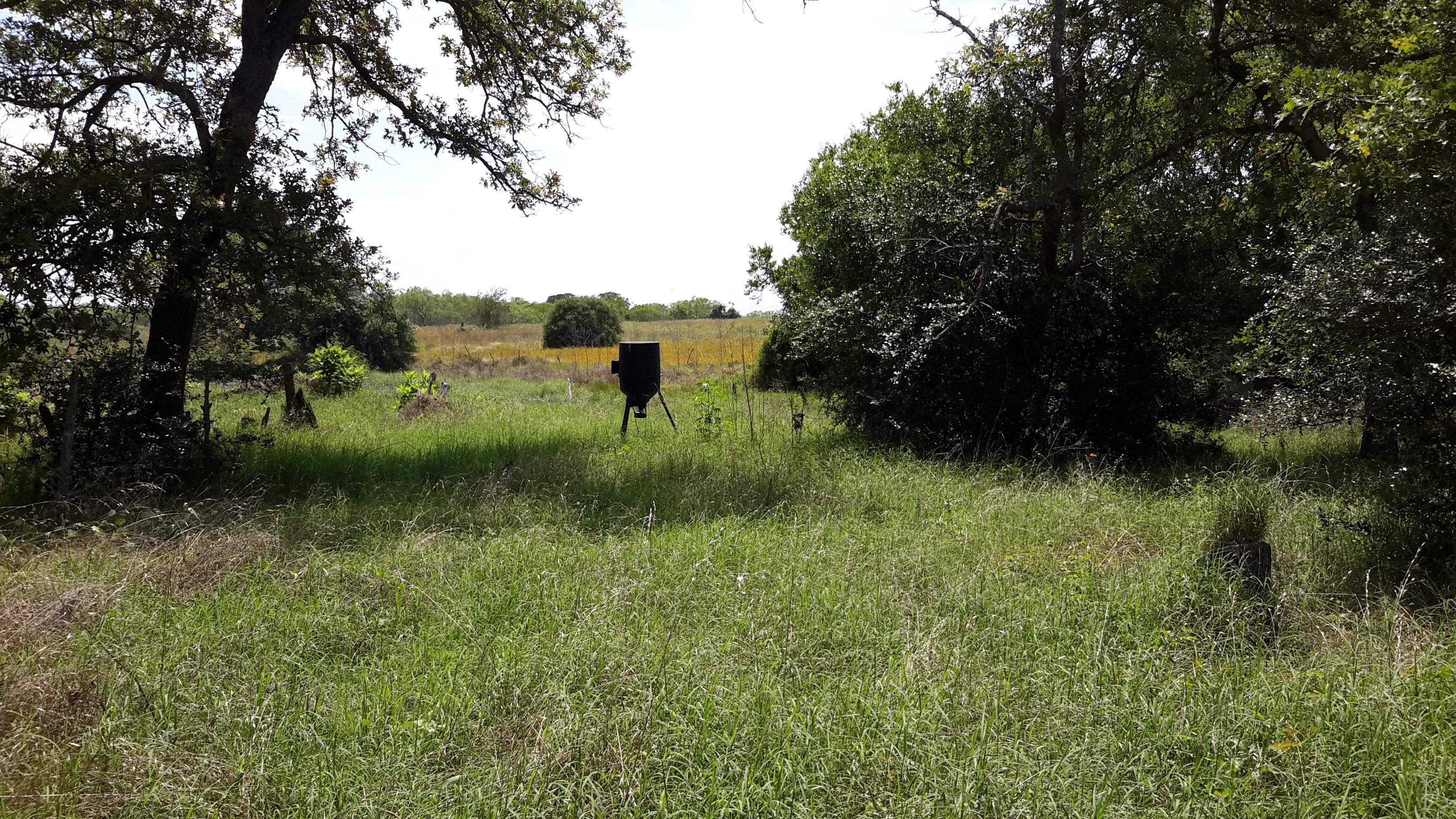 County Road 441, Waelder, TX 78959