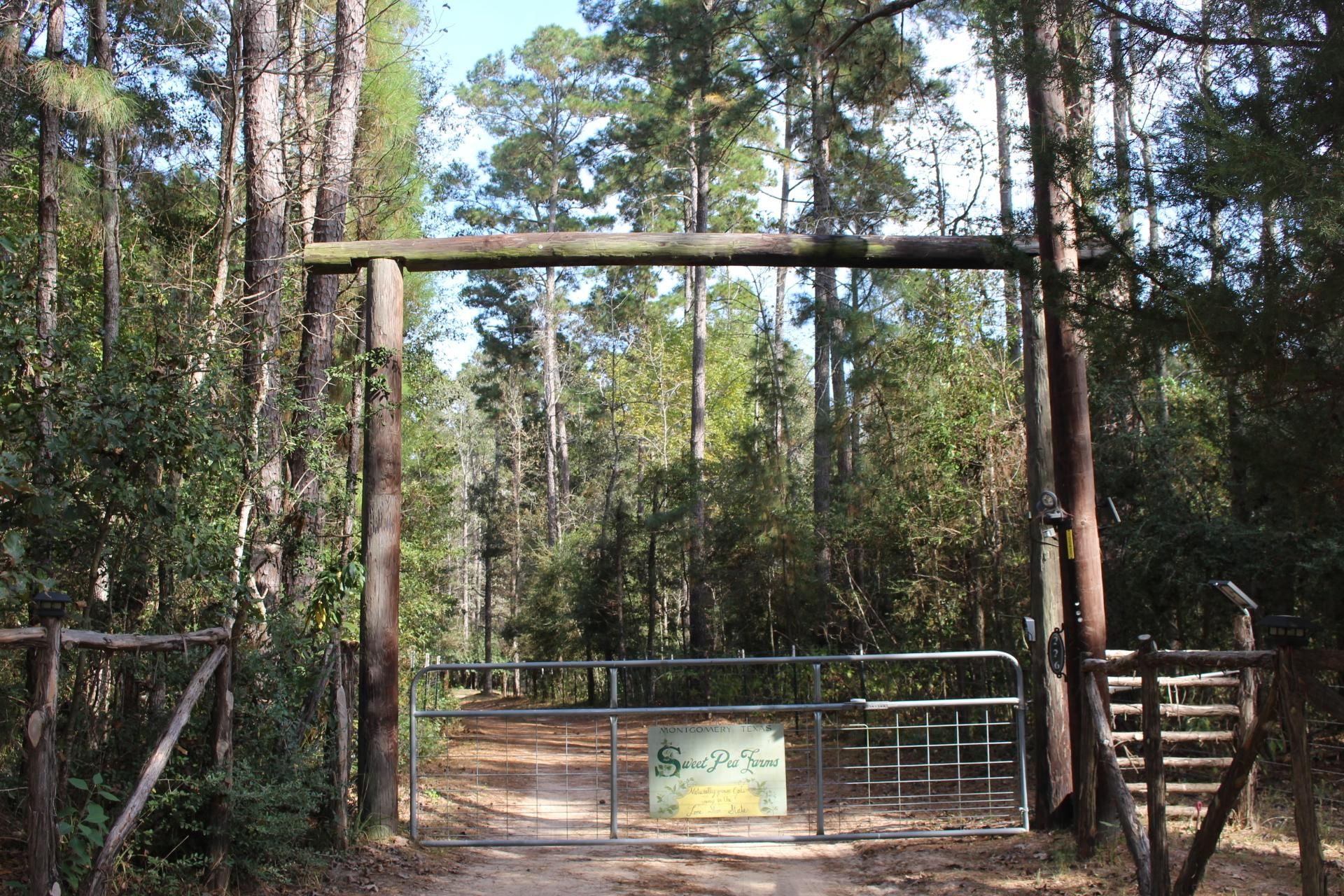 14 acres in Montgomery County, Texas