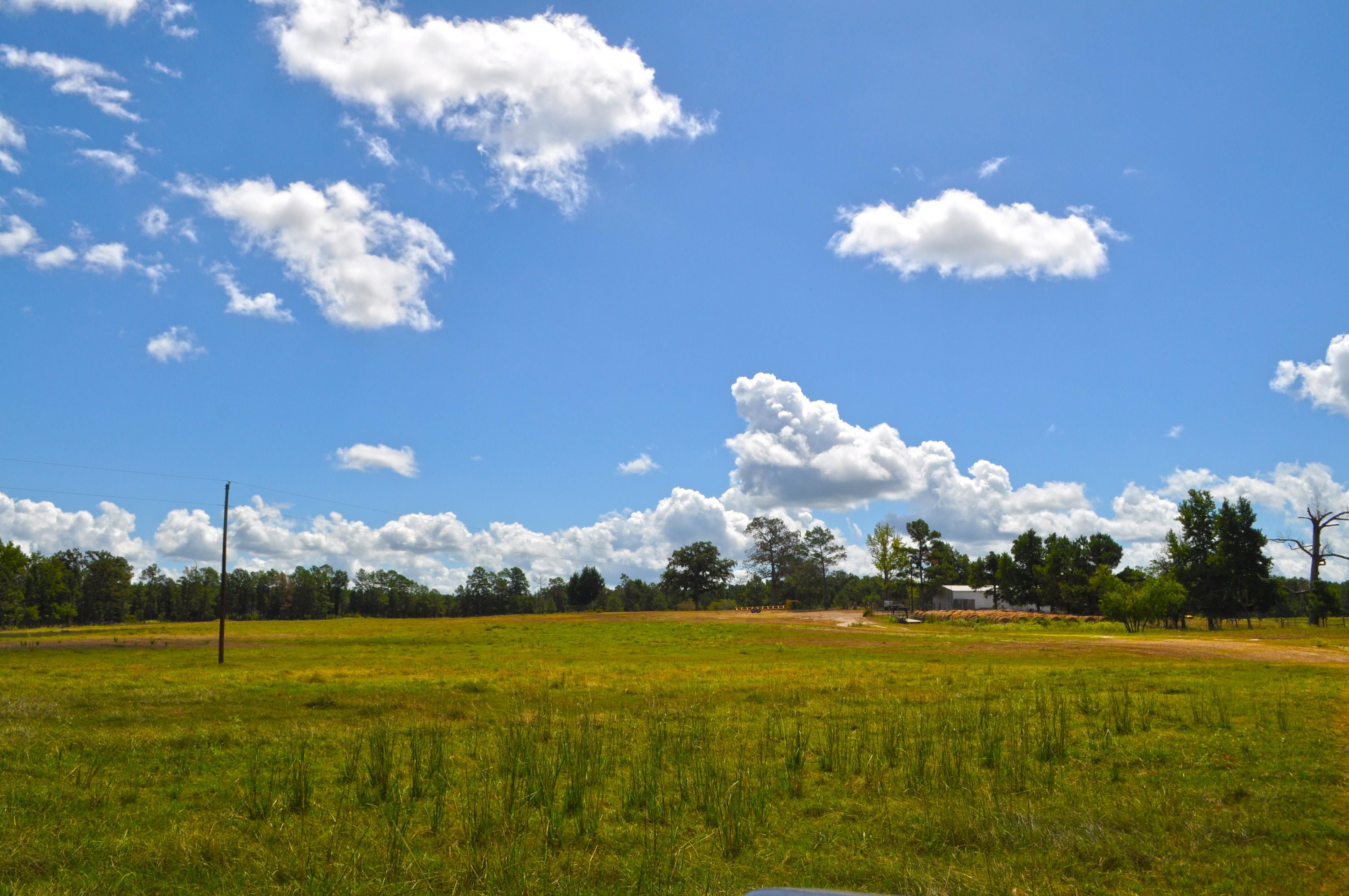 191 acres in Trinity County, Texas
