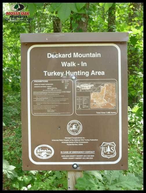 41 acres in Perry County, Arkansas