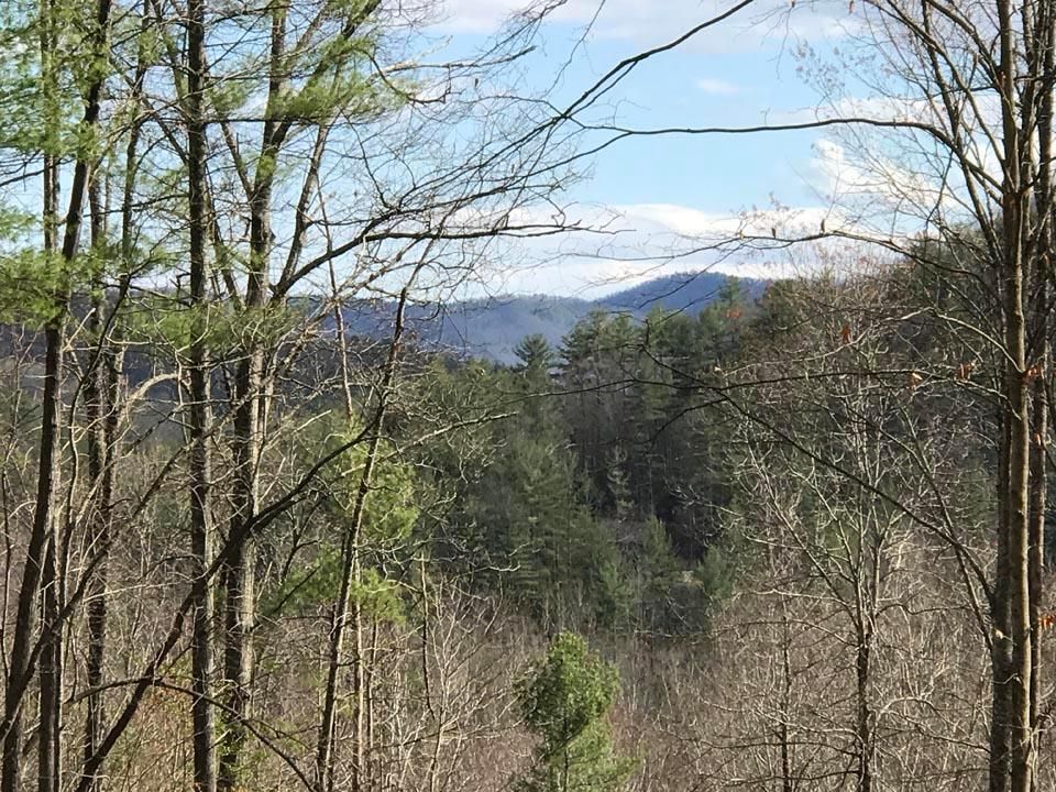 50 acres in Watauga County, North Carolina