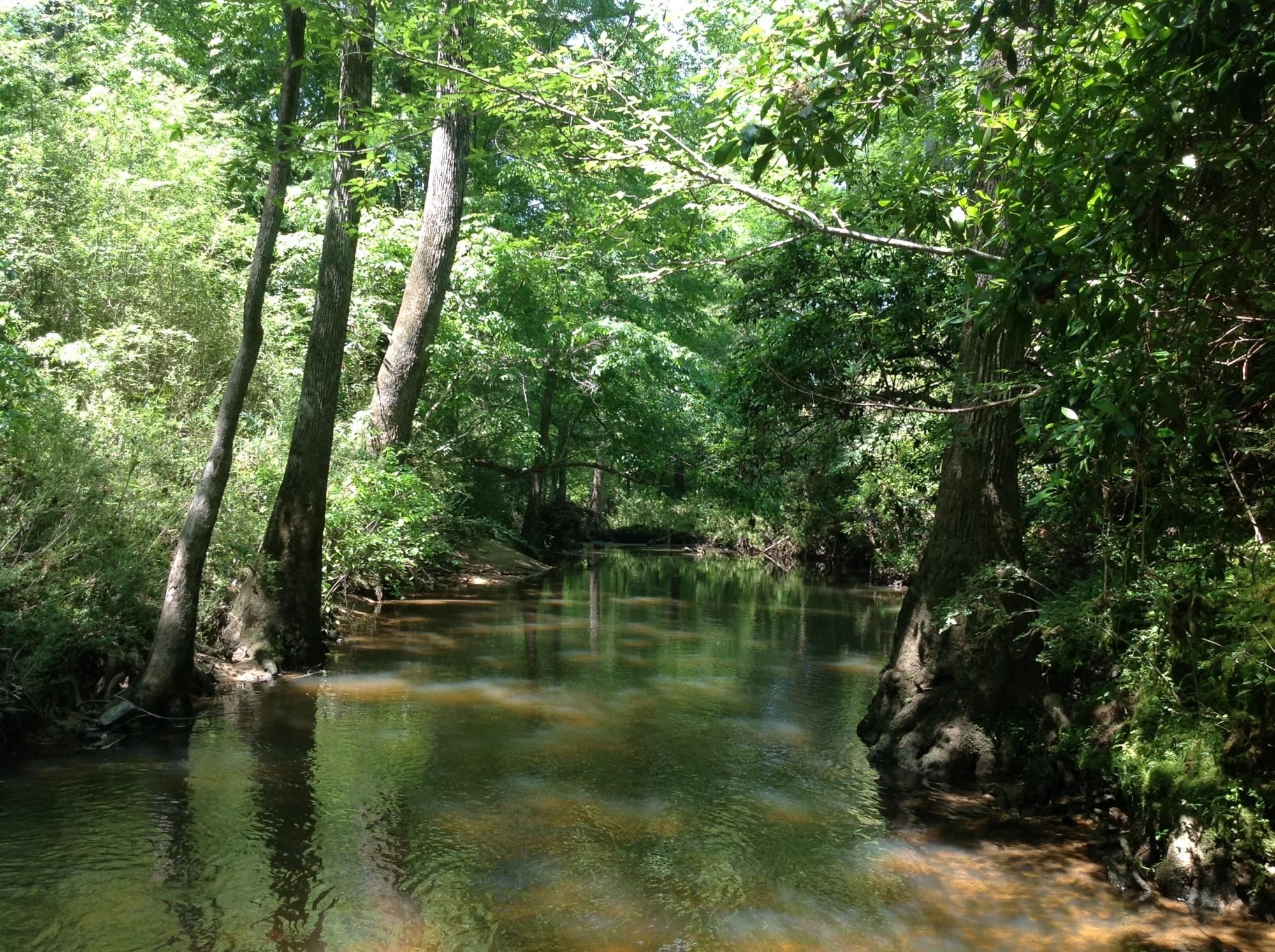 232.5 acres in Chilton County, Alabama