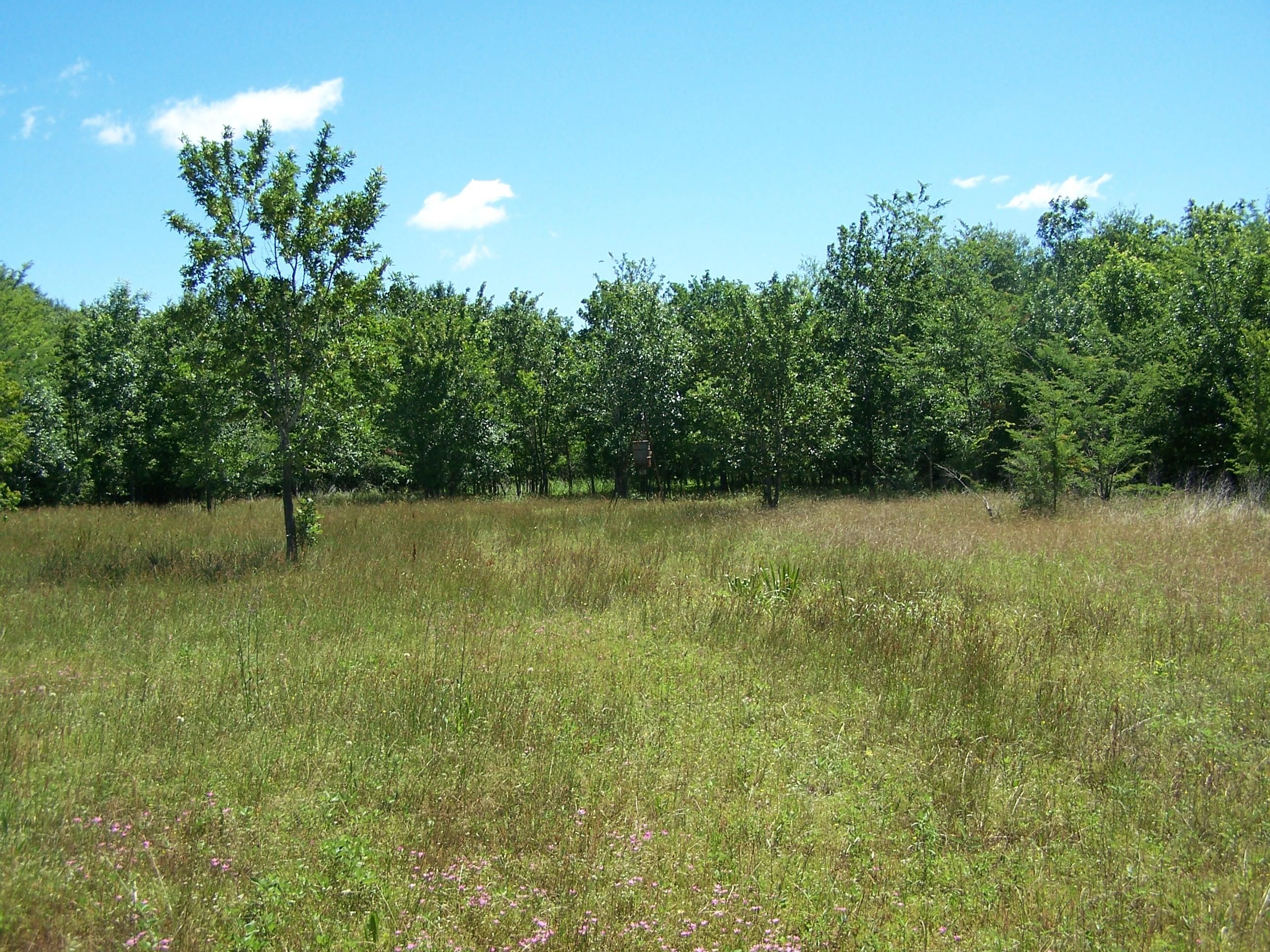 Dickey Loop, Bedias, TX 77831