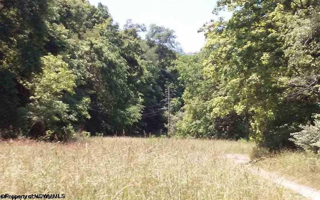 65 acres in Gilmer County, West Virginia