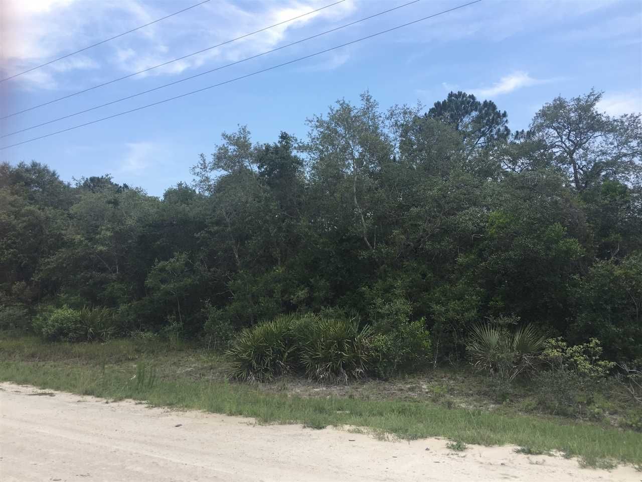 1.01 acres in Taylor County, Florida