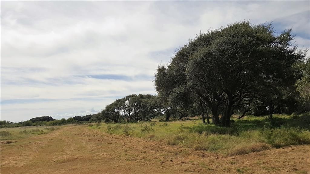 5 acres in San Patricio County, Texas