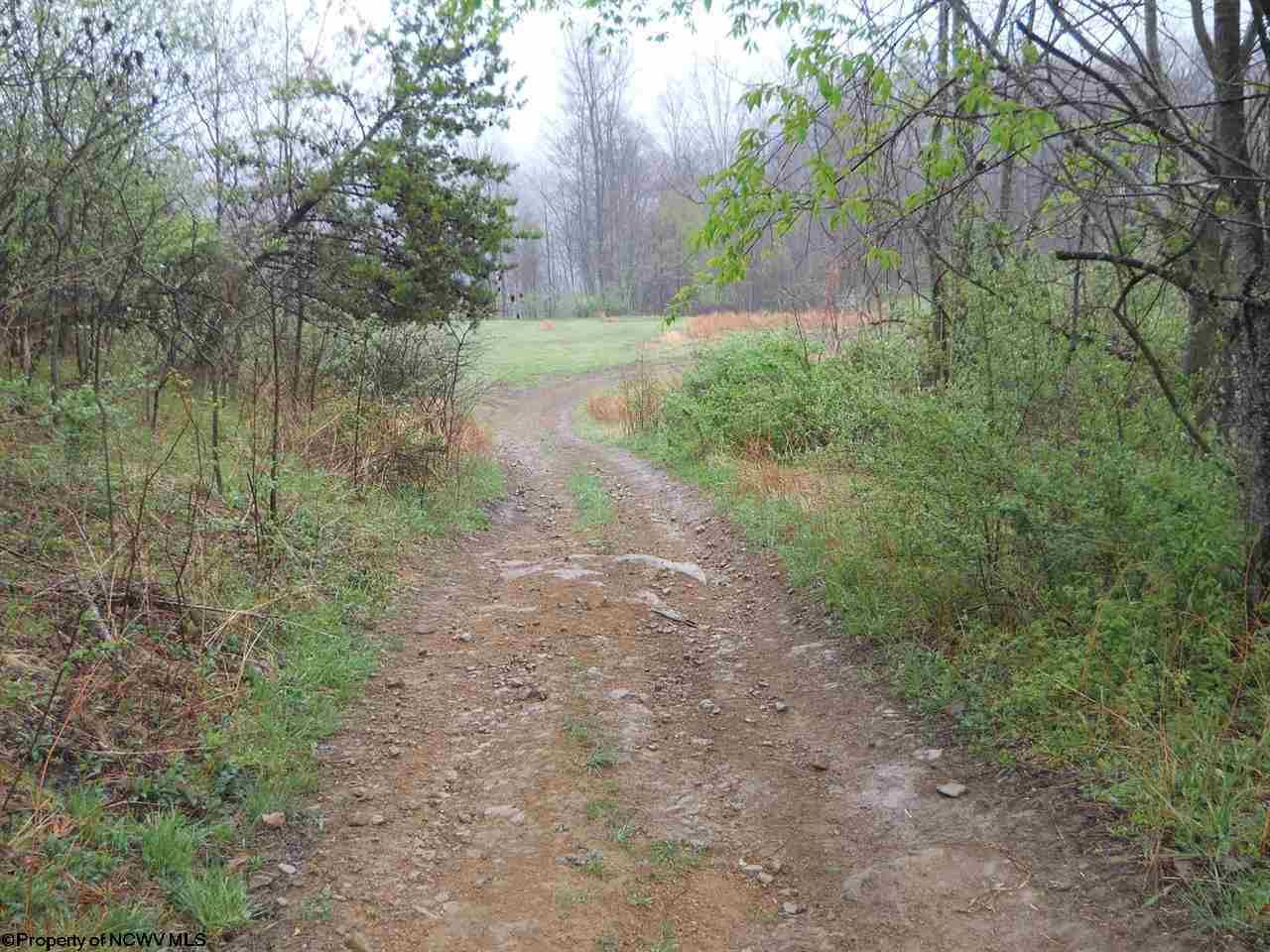 77.47 acres in Braxton County, West Virginia