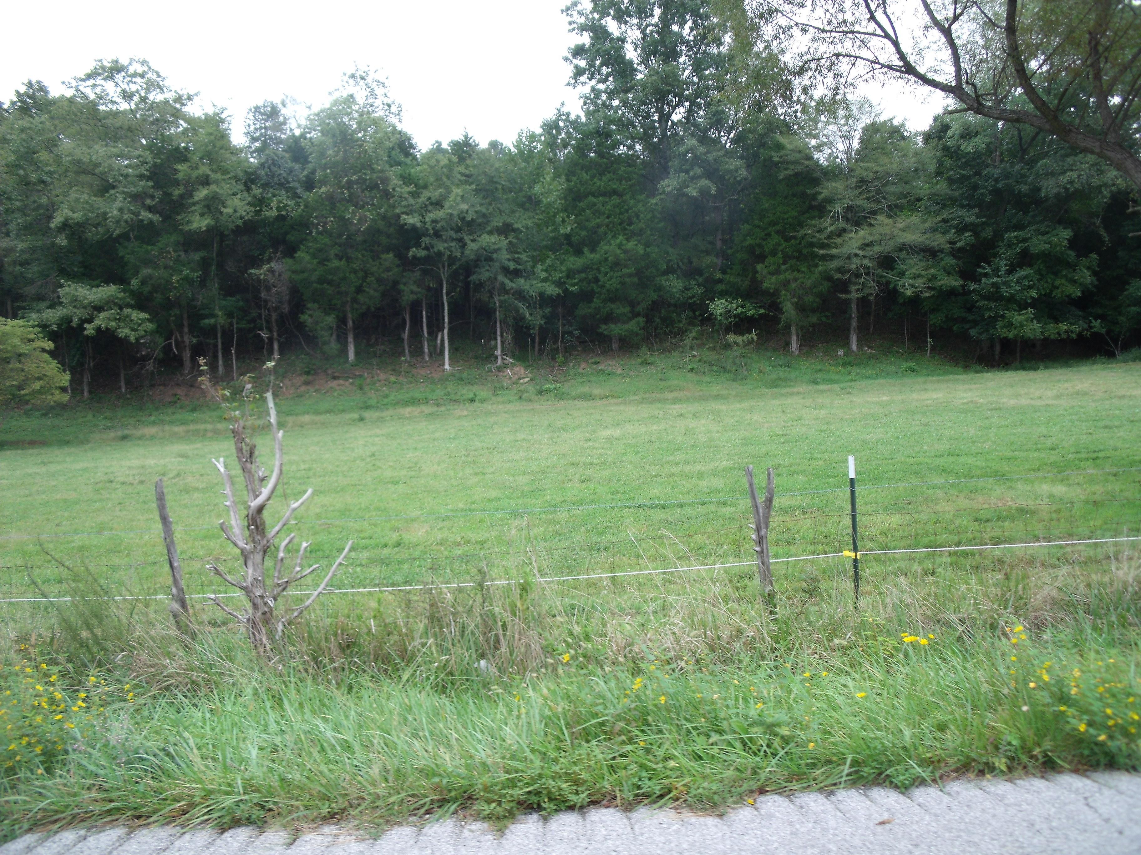 40 acres in Metcalfe County, Kentucky