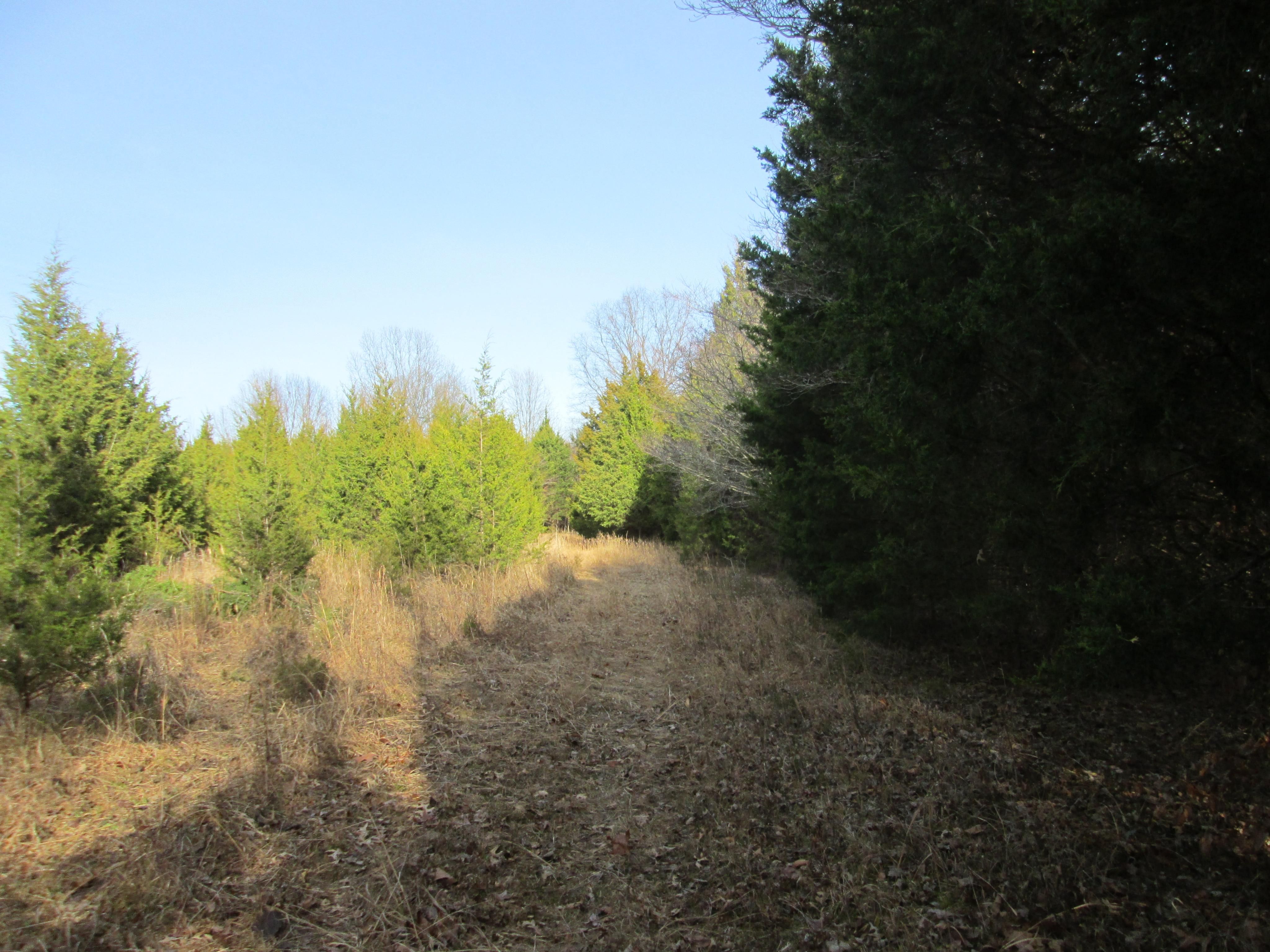 40 acres in Barren County, Kentucky