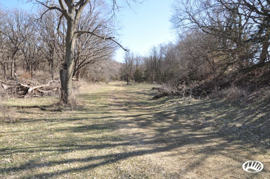 653 acres in Cedar County, Nebraska