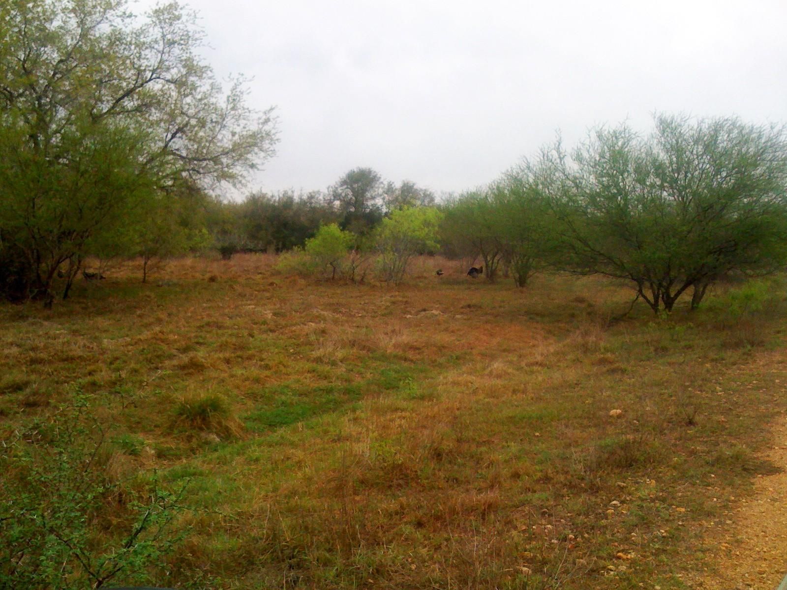 35 acres in Refugio County, Texas