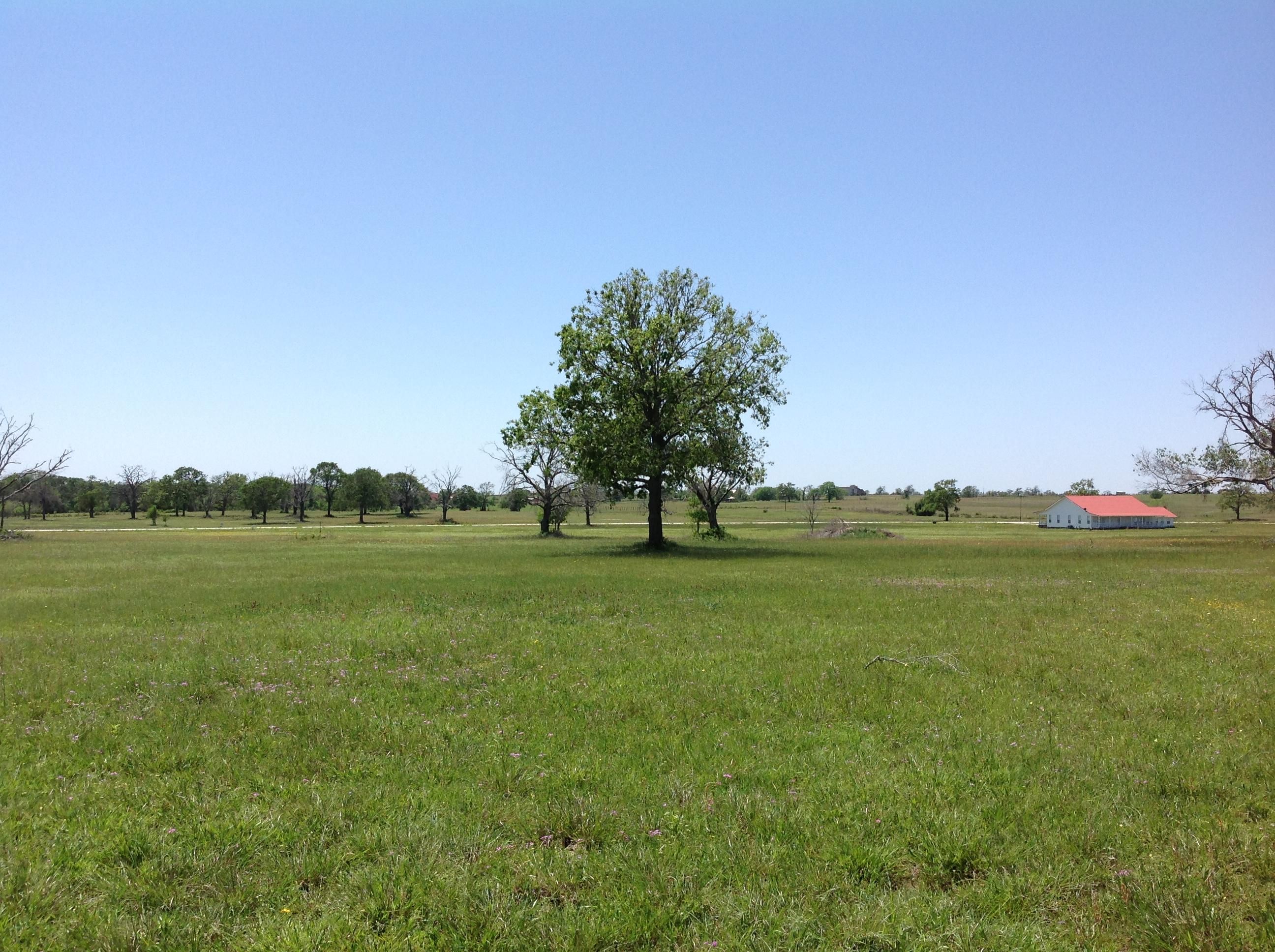 Off of FM 1736 on Legacy Lane, Hempstead, TX 77445