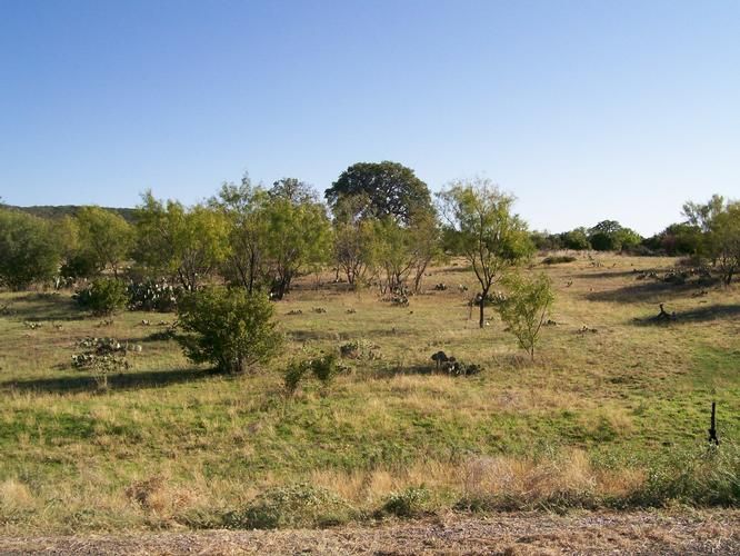 5 acres in Llano County, Texas