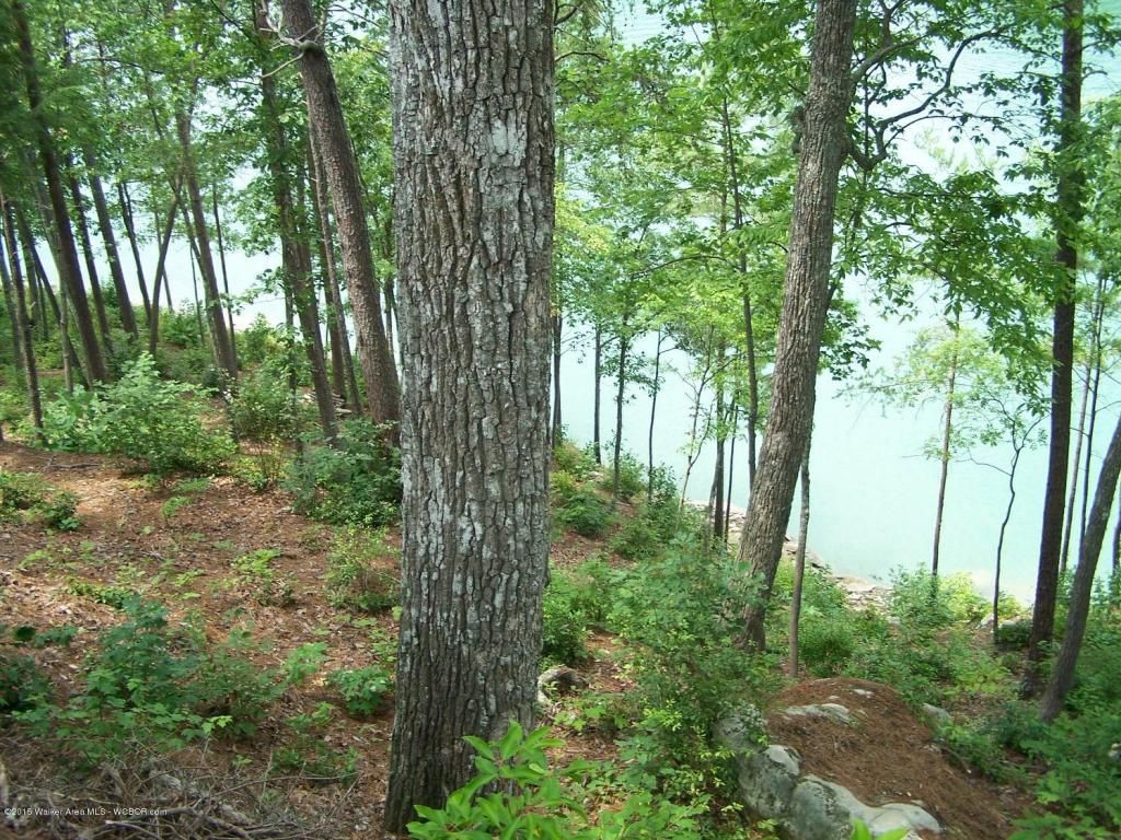 1 acres in Winston County, Alabama
