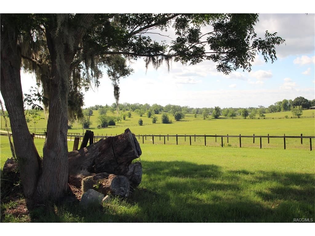 180 acres in Citrus County, Florida