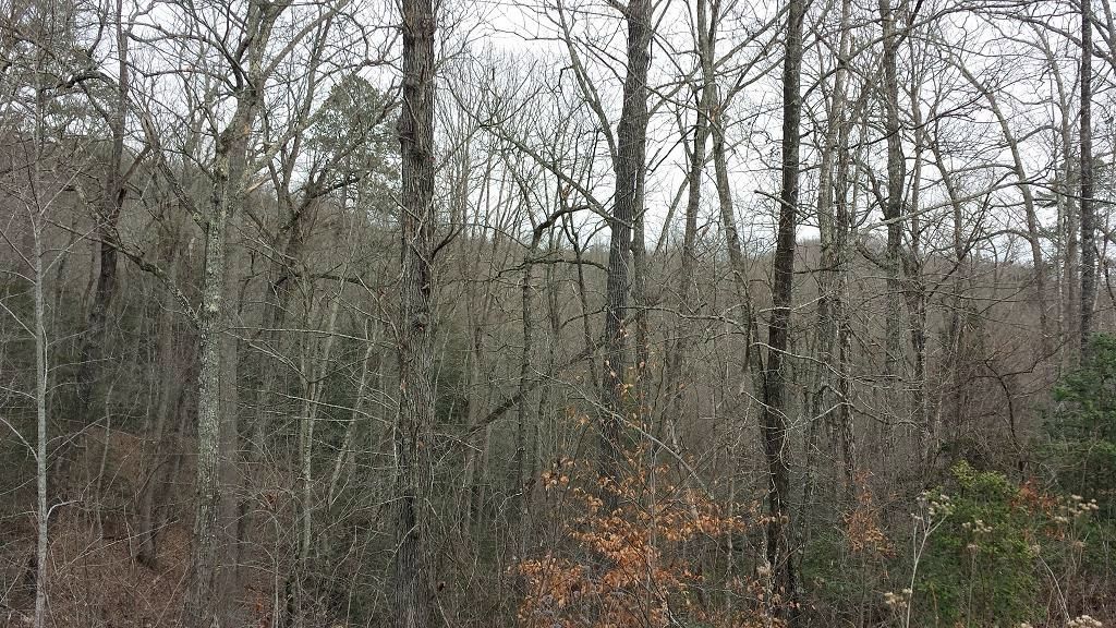 153.5 acres in McCreary County, Kentucky