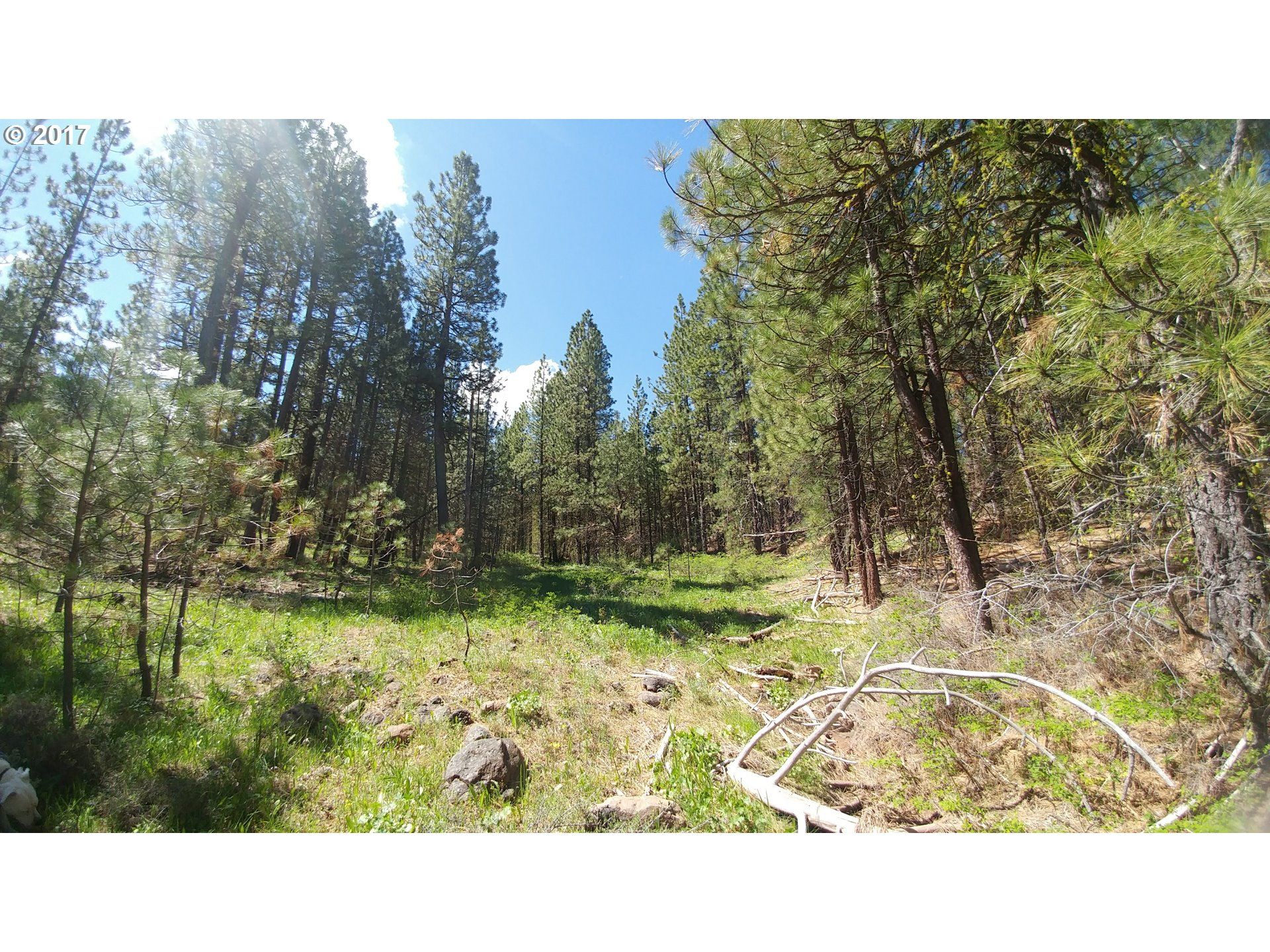 10 acres in Klickitat County, Washington