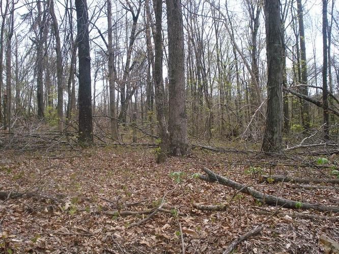 45 acres in Caldwell County, Kentucky