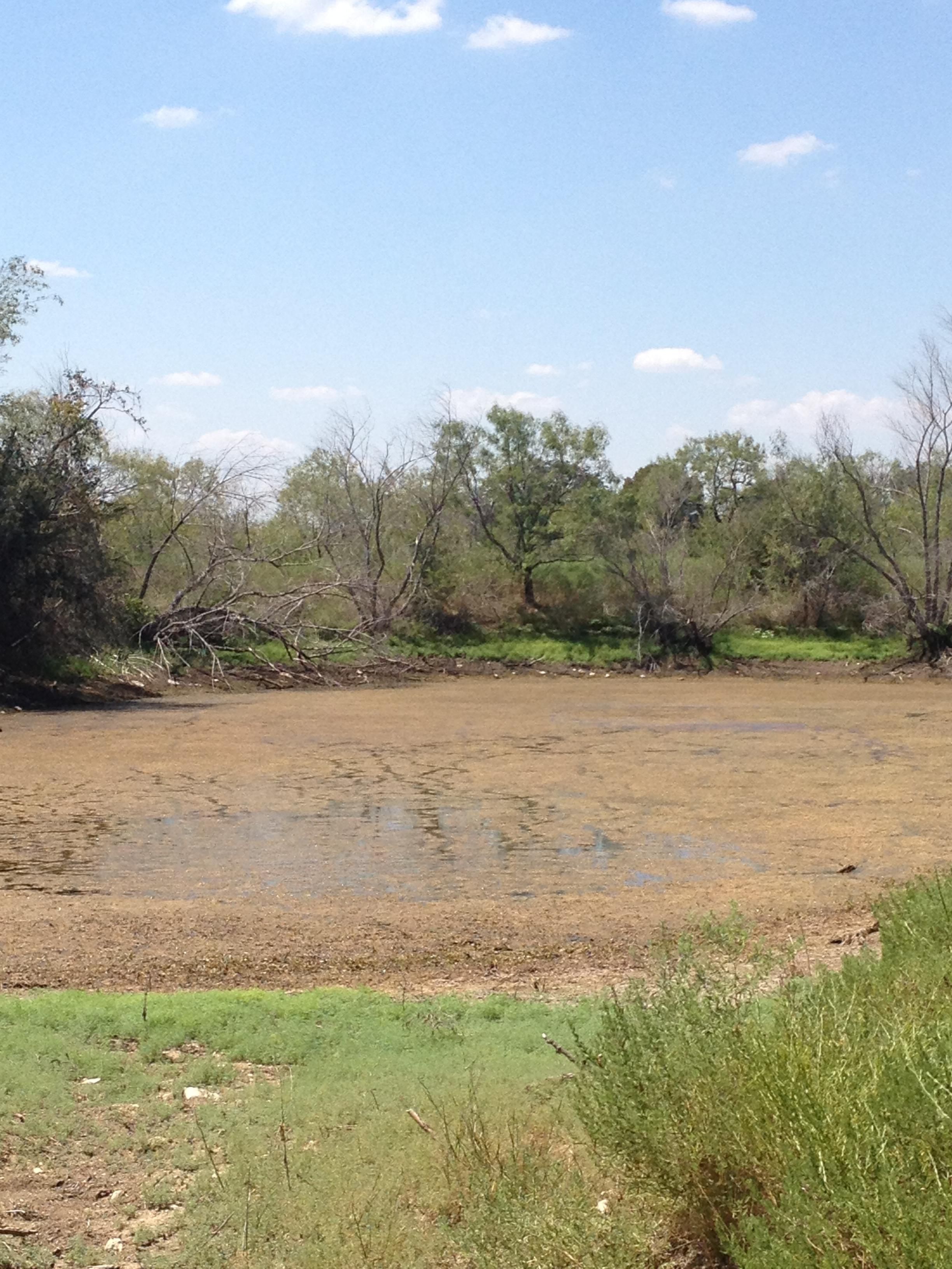 35 acres in Bosque County, Texas
