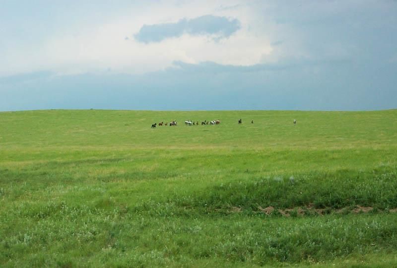 7,510 acres in Ziebach County, South Dakota